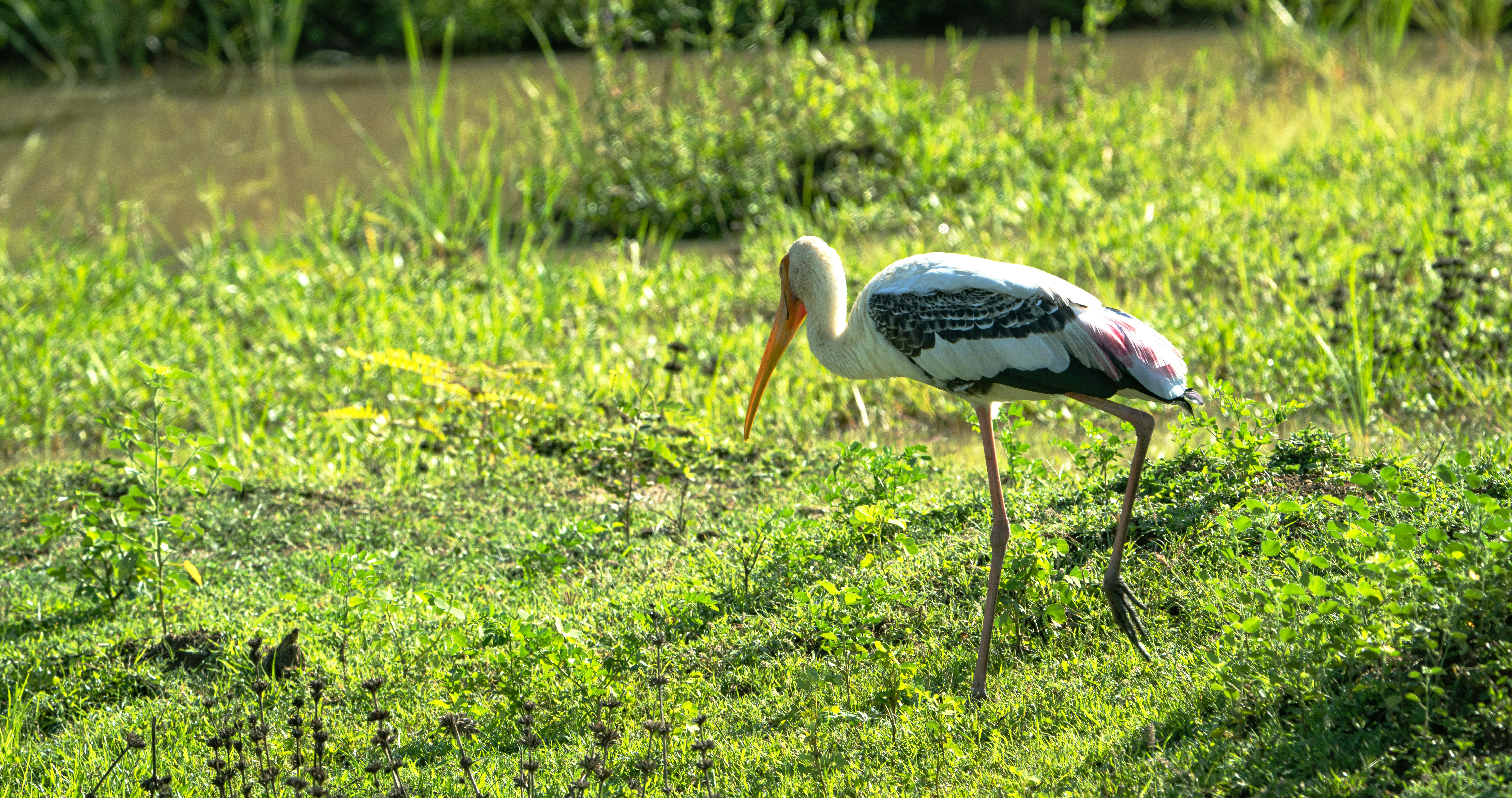 Photo by mhphotography13