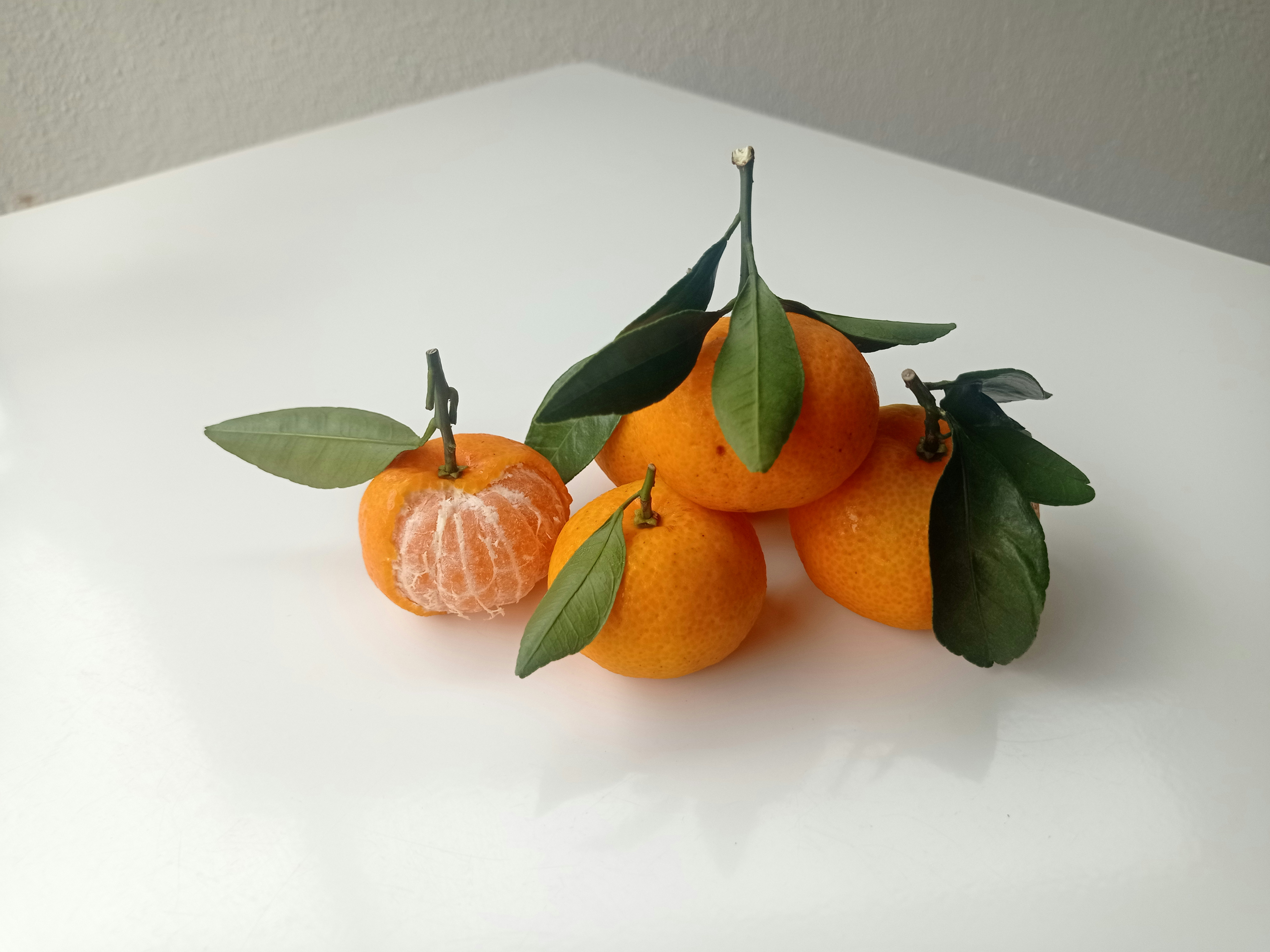 When Life Gives You Tangerines: Understanding the Impact