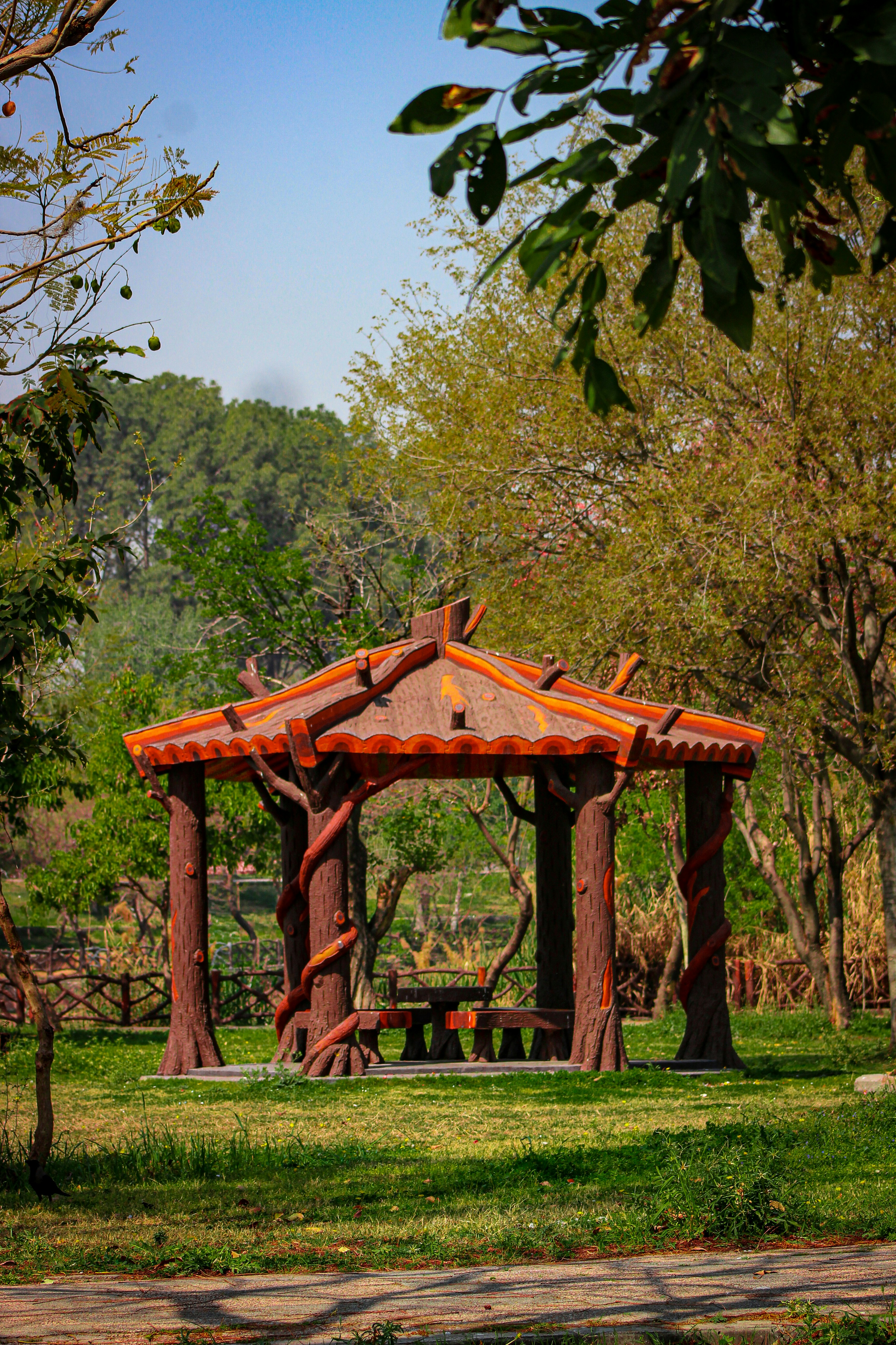 A gazebo in a park with a bench in the foreground photo – Free ...
