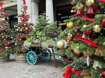 A festive outdoor scene with several decorated Christmas trees adorned with red and gold ornaments and ribbons. A wooden cart filled with various green plants is surrounded by the trees. The setting is on a cobblestone street near a building.