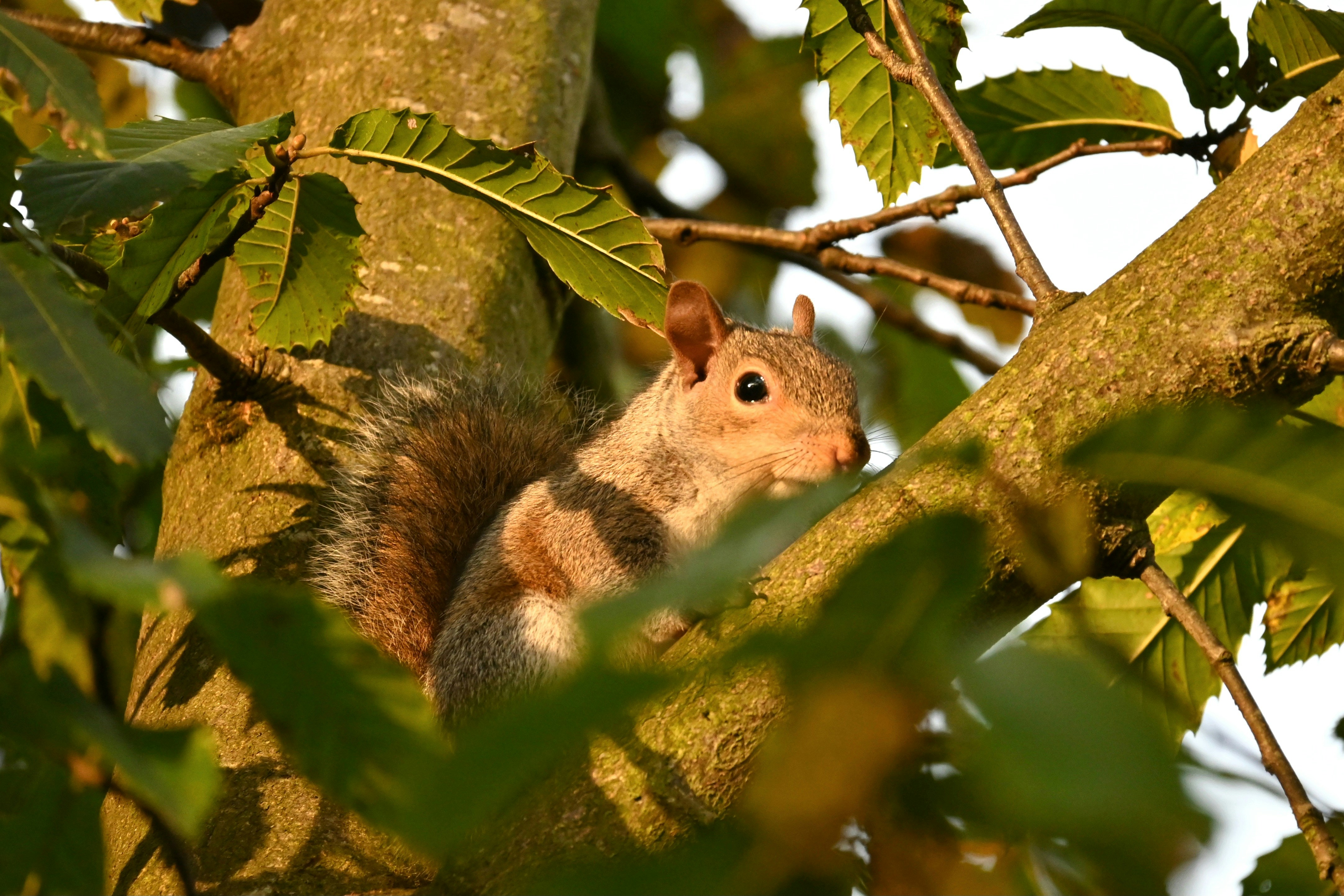 Photo by jodiemcgonagle