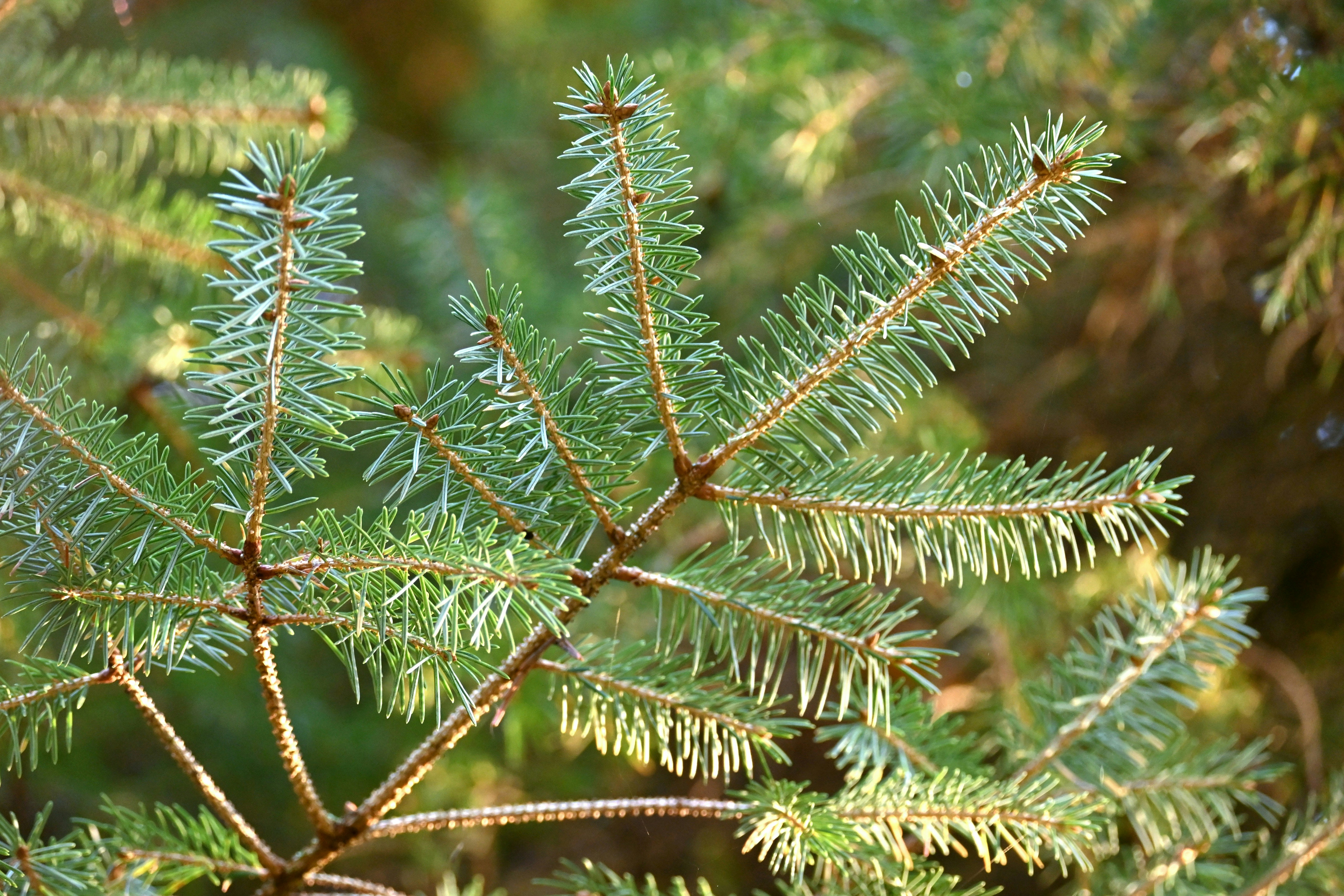 Photo by jodiemcgonagle