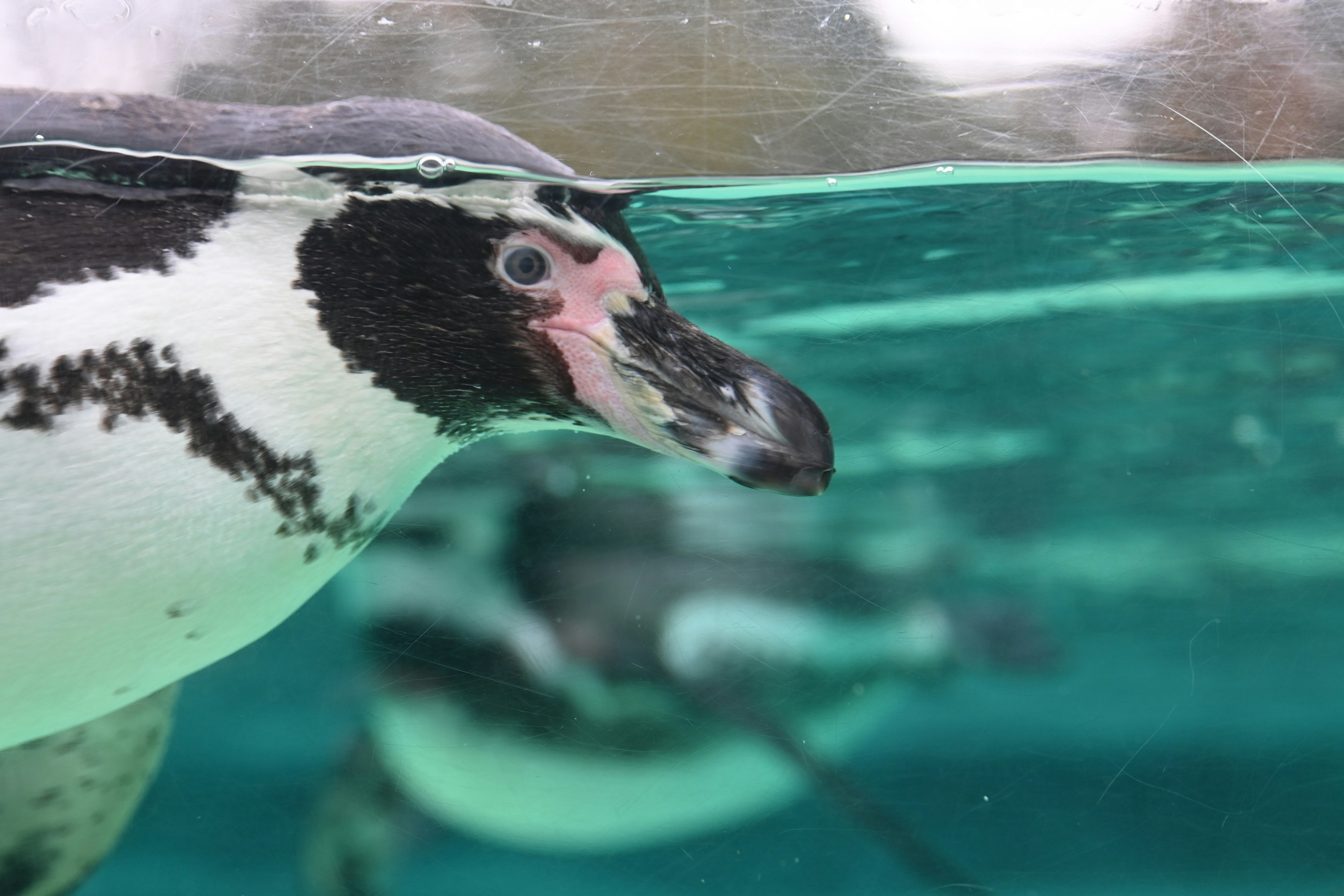 Photo by jodiemcgonagle