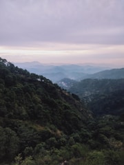 A scenic view of lush green farmland in Karnataka.