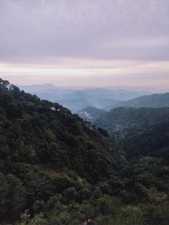 A scenic view of the lush green landscapes in Andhra Pradesh.