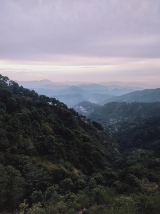A scenic view of lush green farmland in Karnataka.