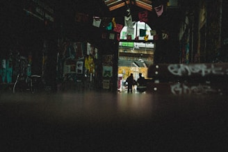 A dimly lit alleyway with colorful graffiti covering the walls. Cloth banners hang from above, and distant silhouettes of people are seen at the entrance. The scene has a gritty, artistic atmosphere.