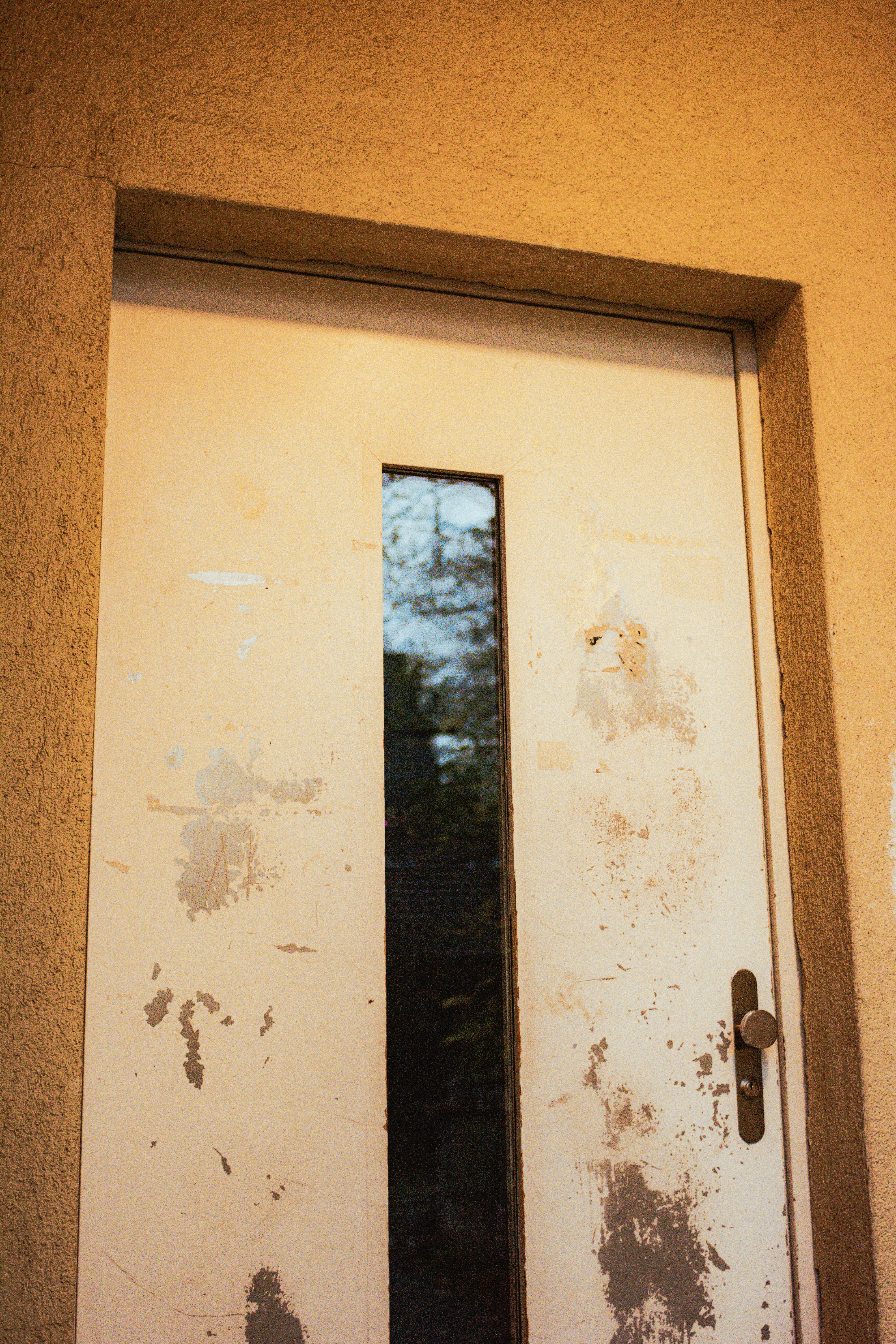 una porta bianca con un gatto nero seduto su un fianco