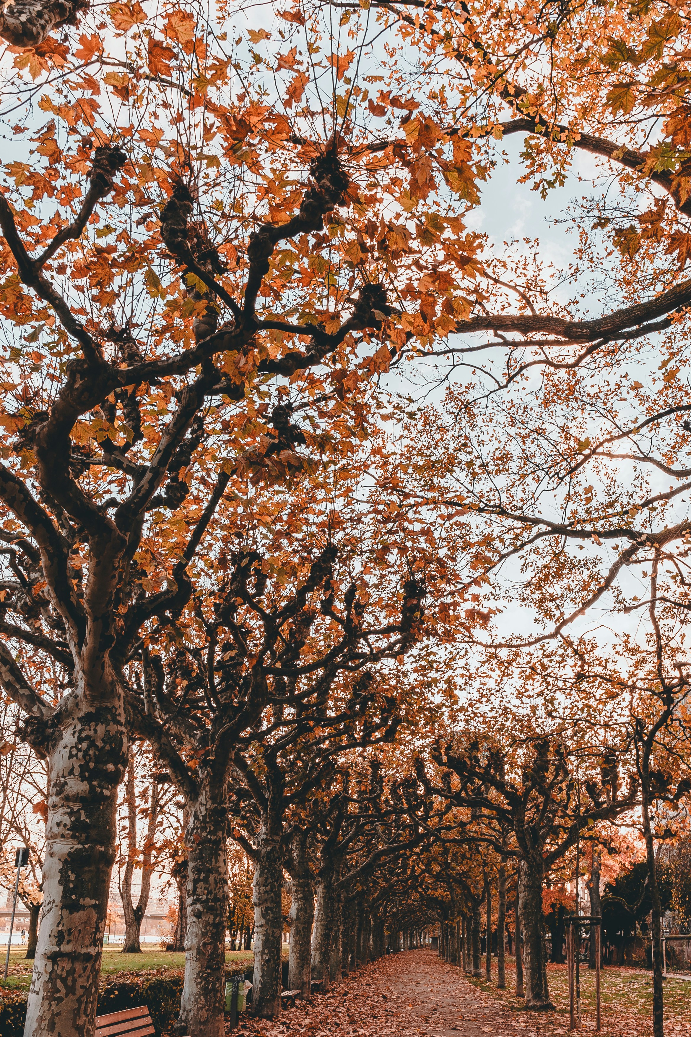 Photo by masoodaslami