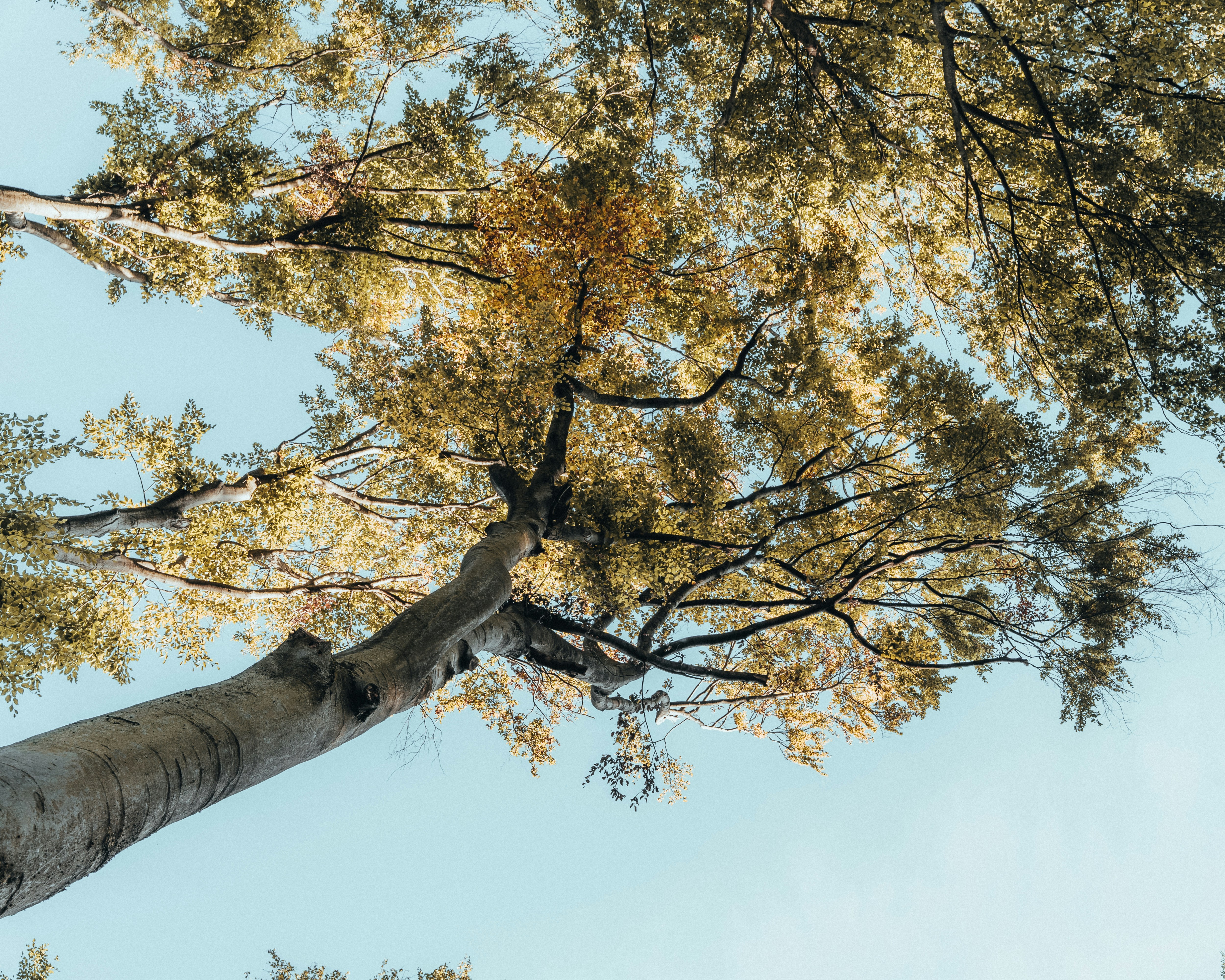 Photo by masoodaslami