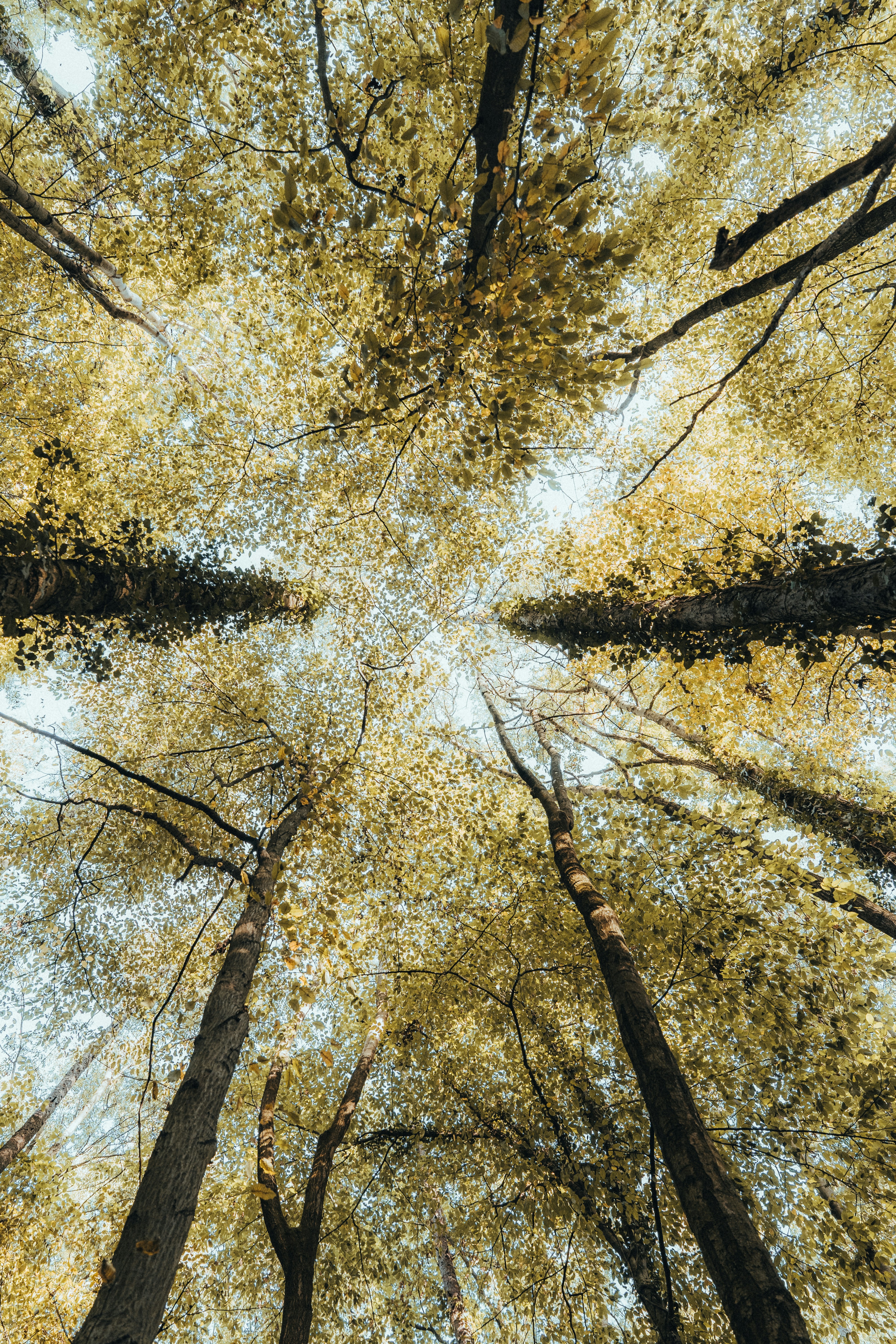 Photo by masoodaslami