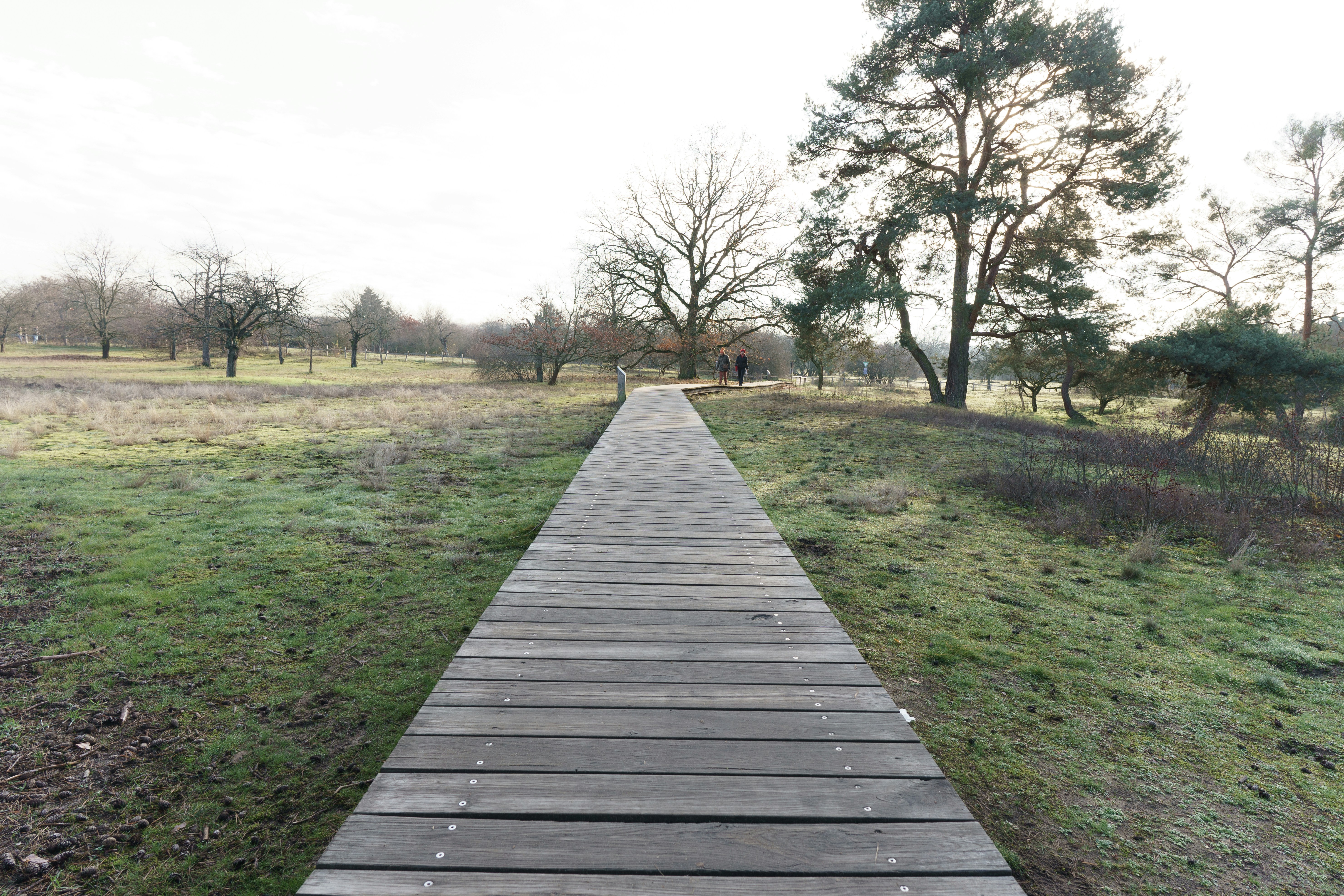 Photo by masoodaslami