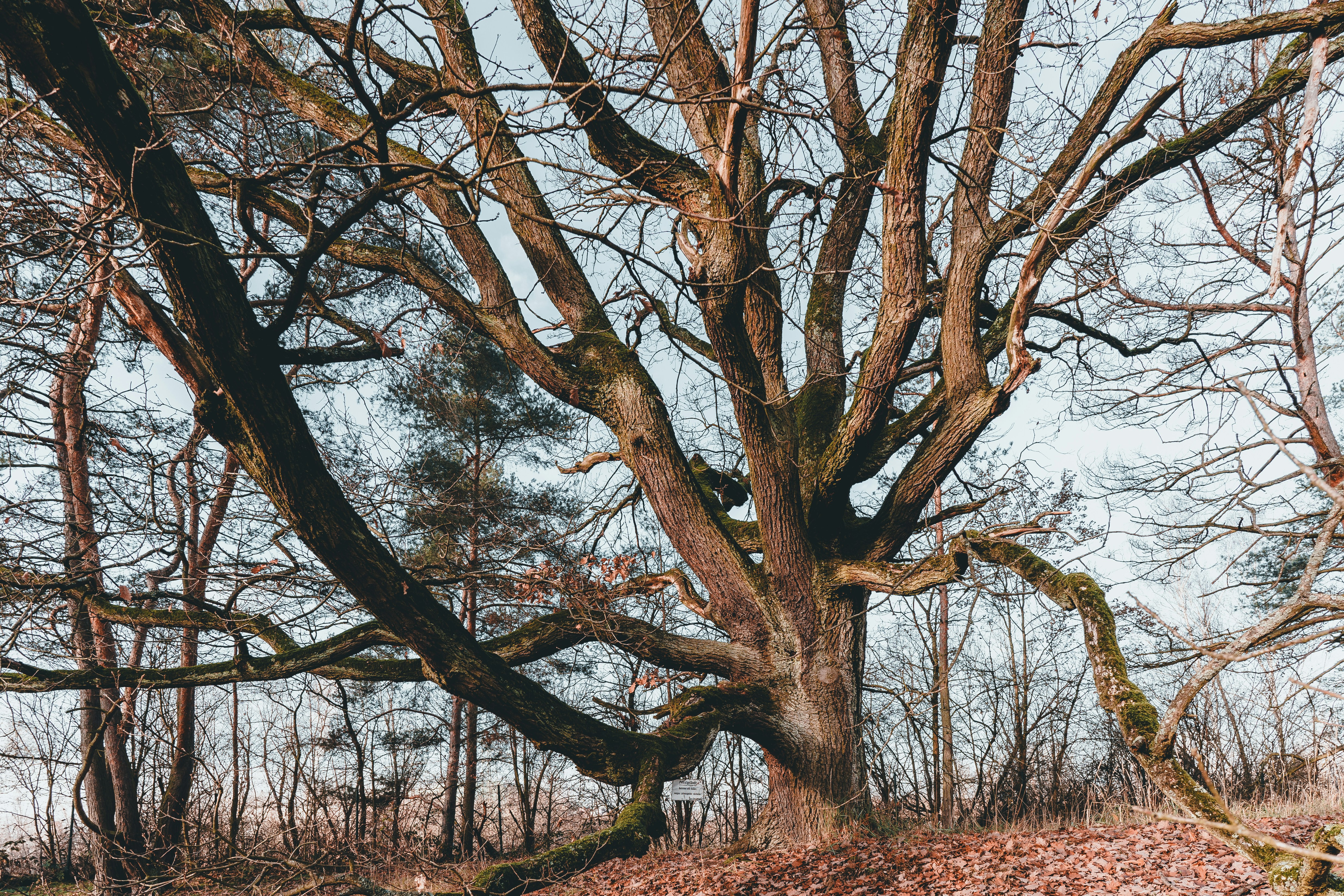 Photo by masoodaslami