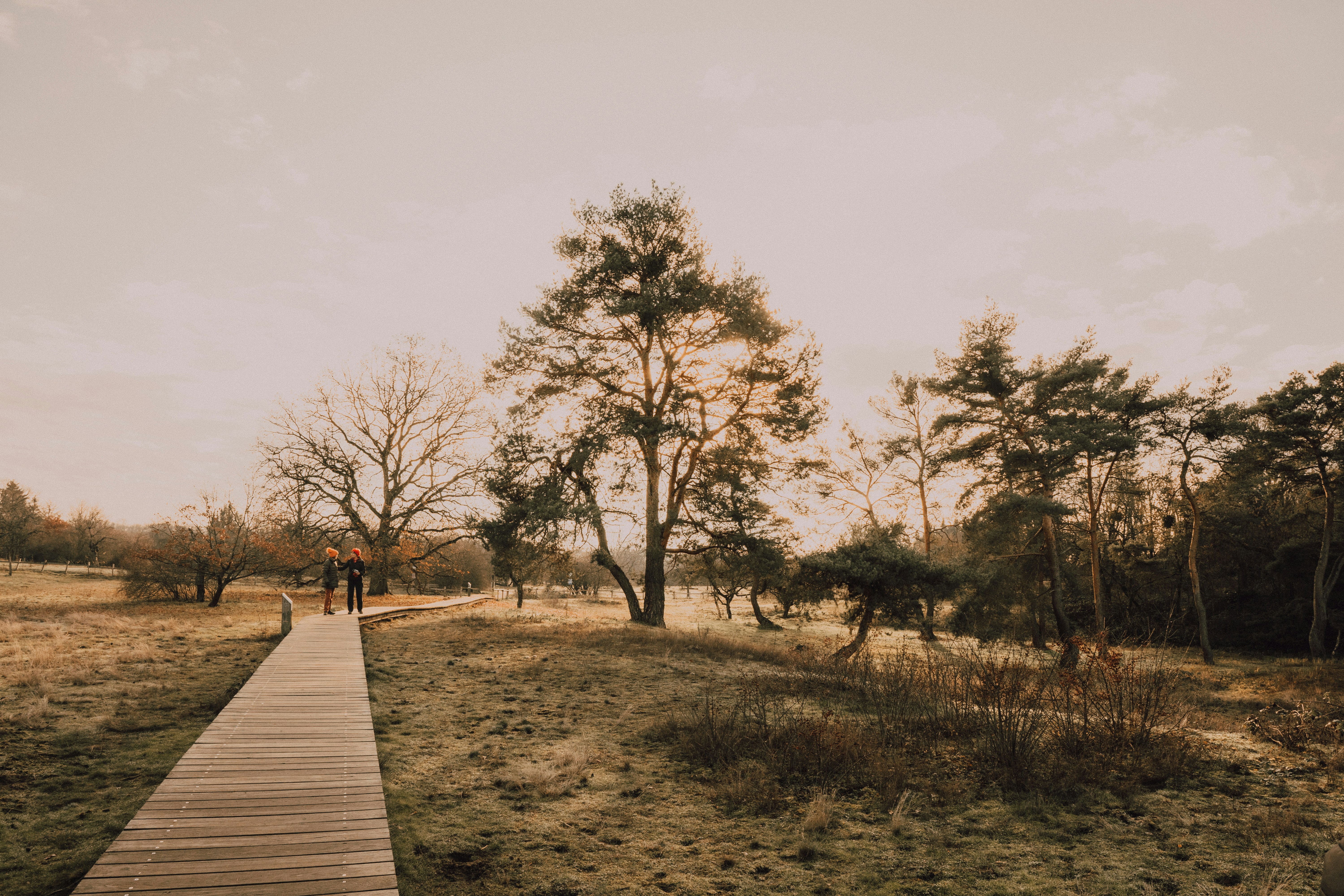 Photo by masoodaslami