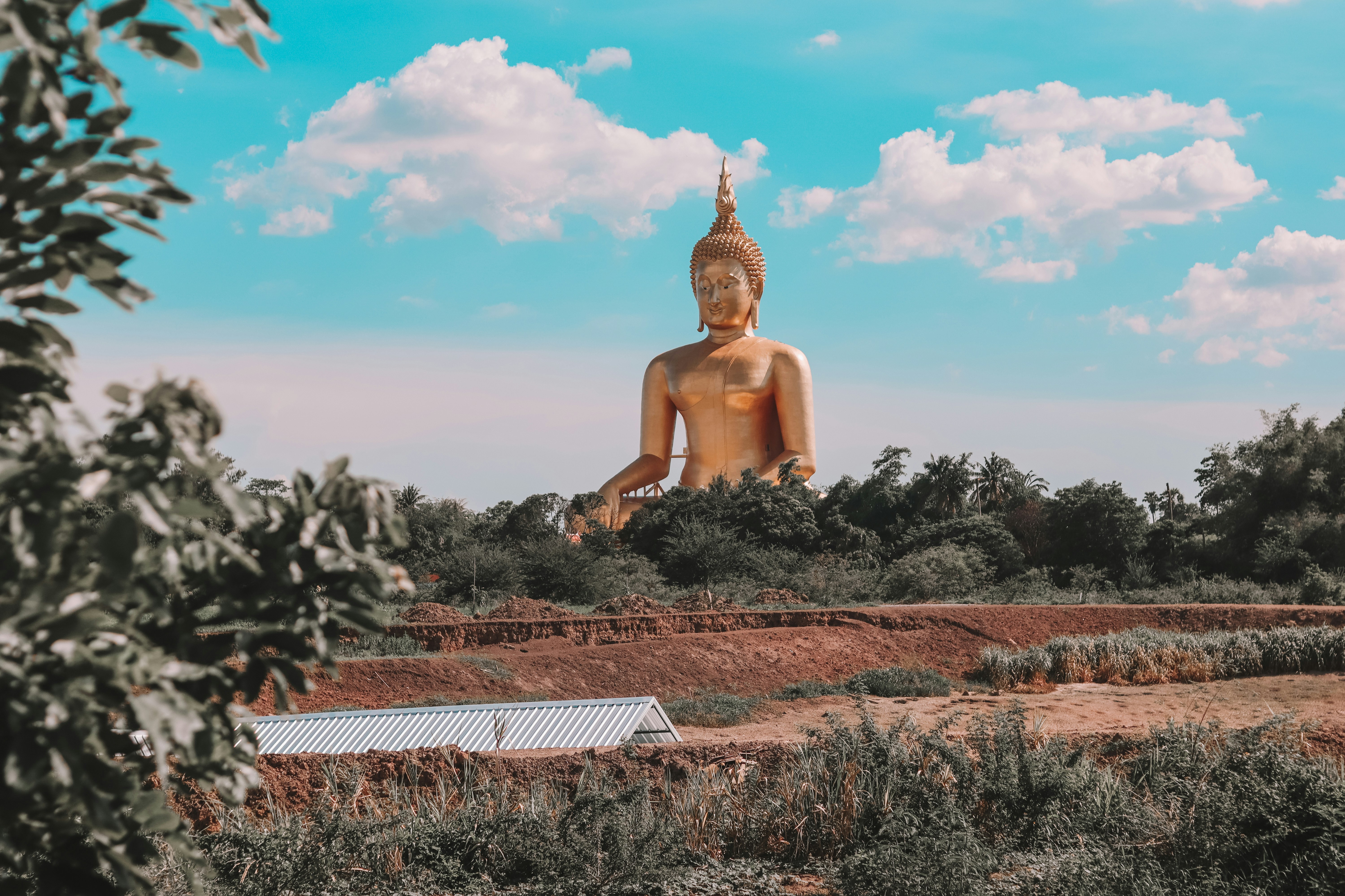 ���� � ��������