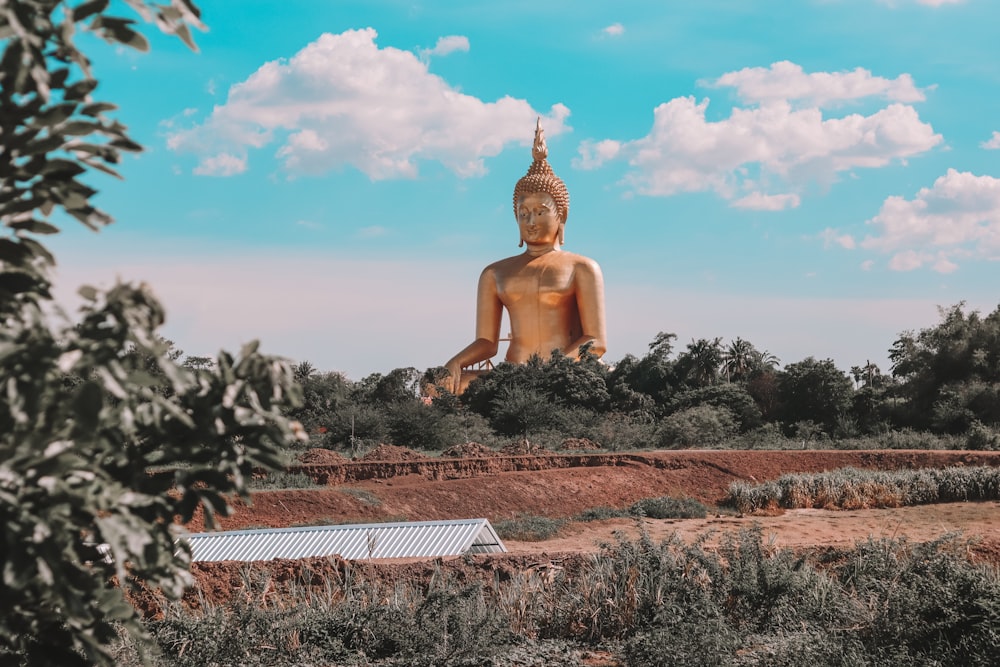 a large buddha statue sitting in the middle of a field