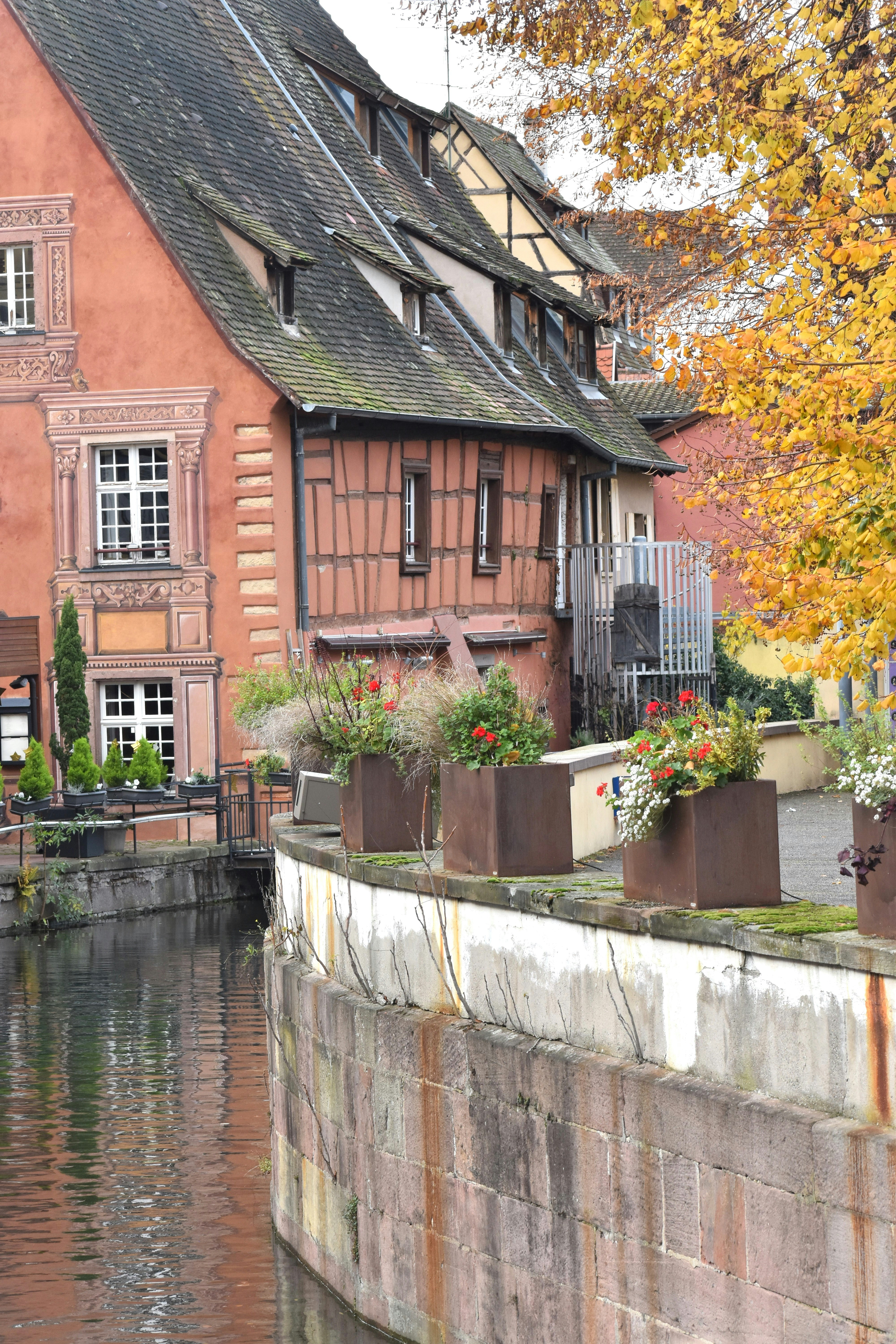 Photo by danielelarosa