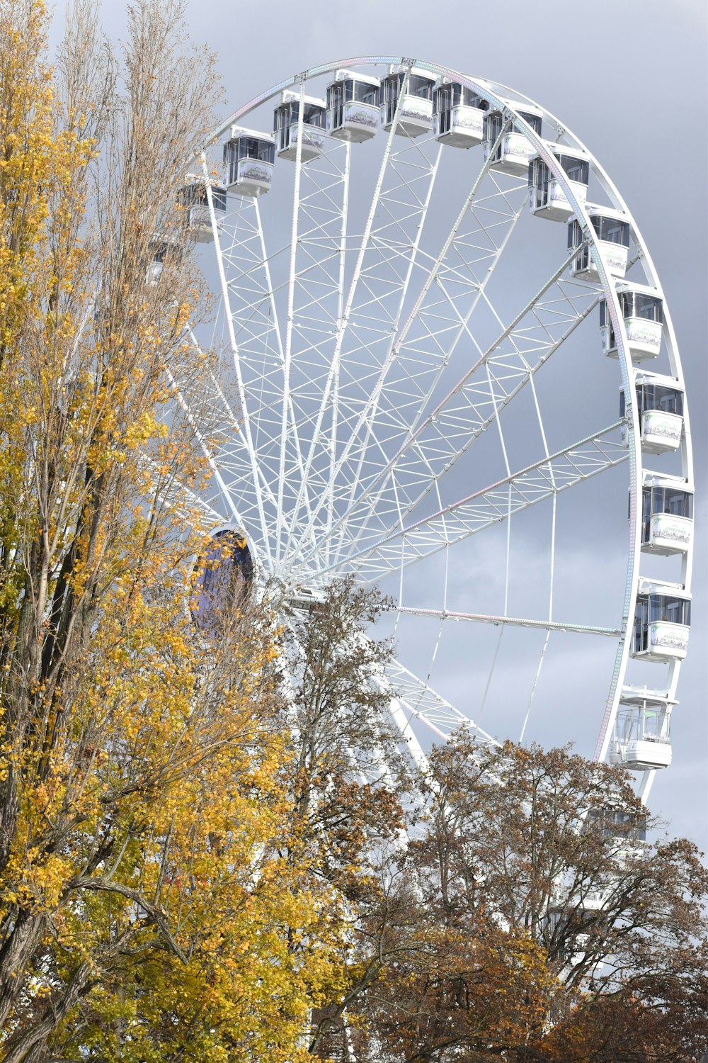 uma grande roda gigante branca sentada ao lado de uma árvore