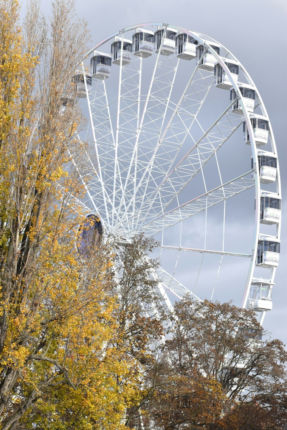 una grande ruota panoramica bianca seduta accanto a un albero