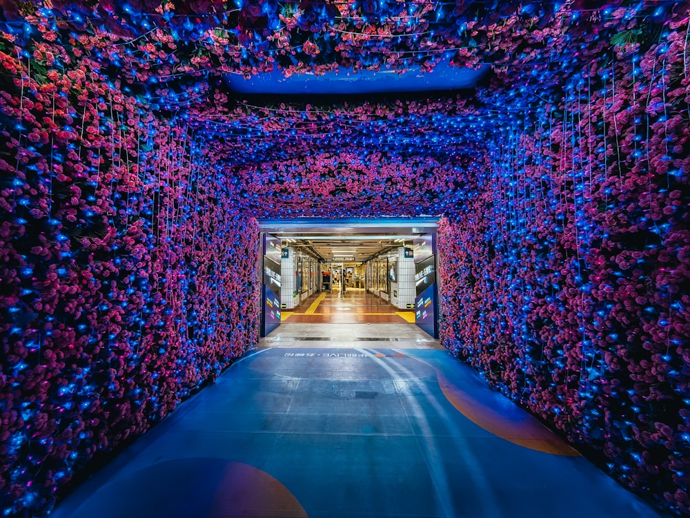a tunnel of purple and blue balls in a building