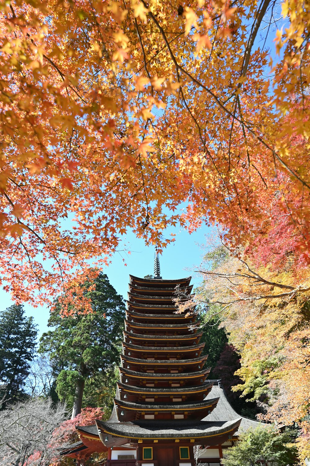 a pagoda in the middle of a park in autumn