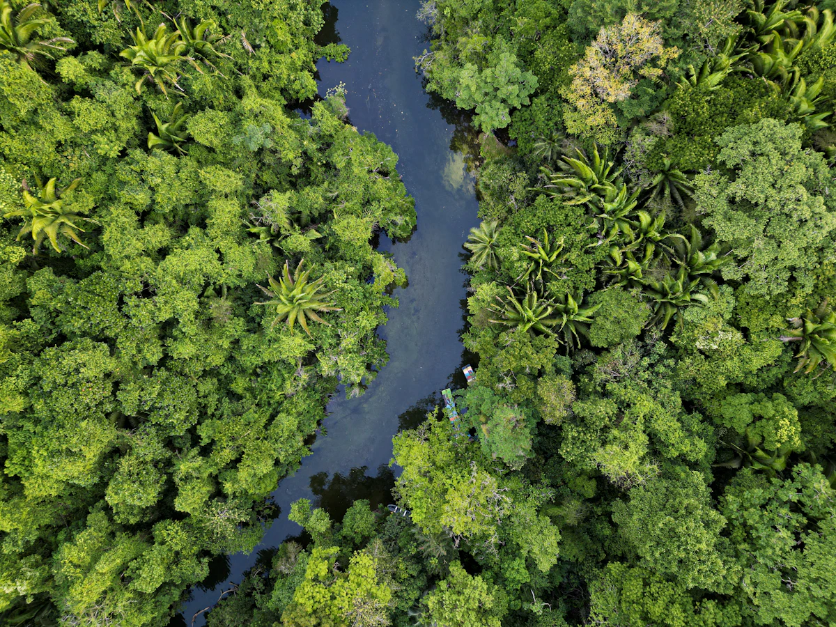 Afluente de Río Dulce visto desde arriba