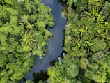 A river winding through the Peruvian Amazon with traditional boats and vibrant greenery.