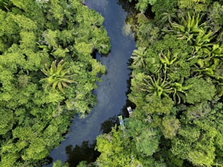 Dense Amazon rainforest with a river winding through and a small boat navigating the waters.