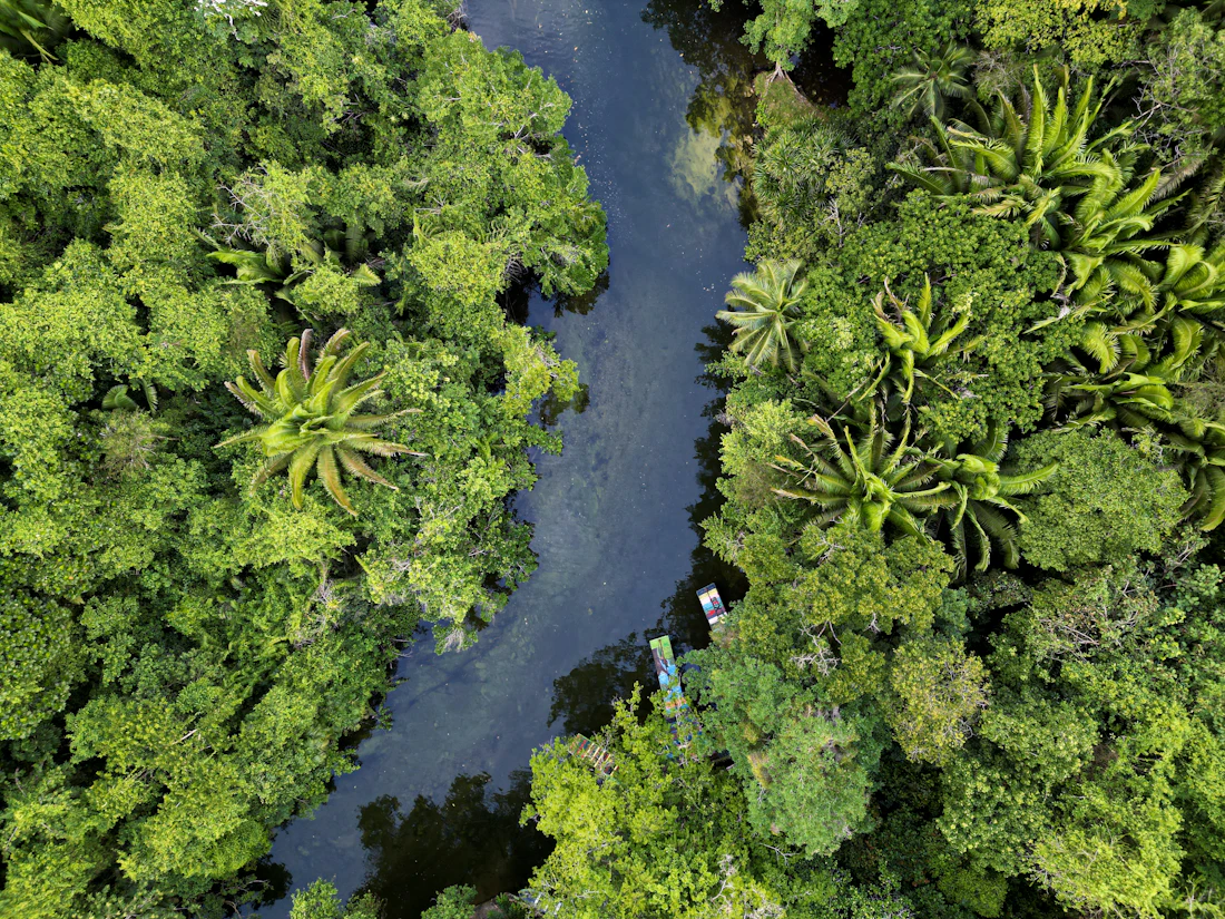 Amazzonia peruviana