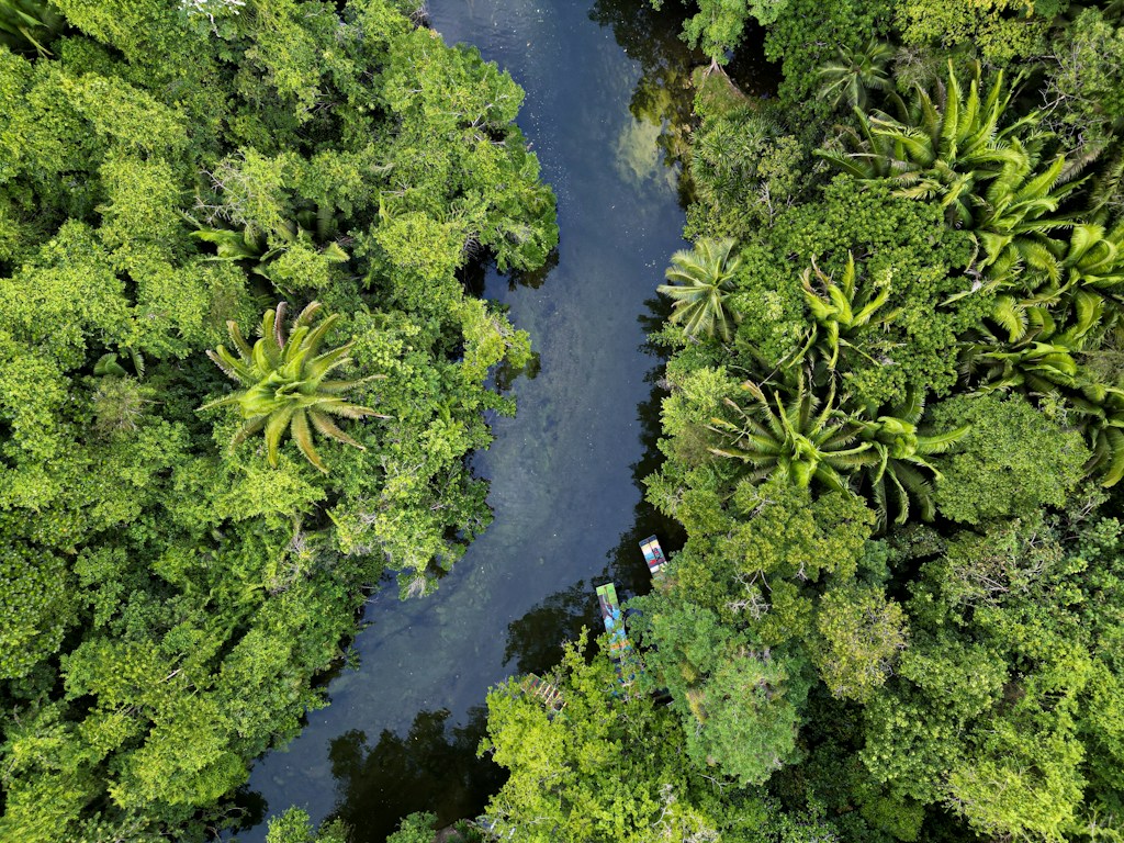 Amazon Rainforest Retreat