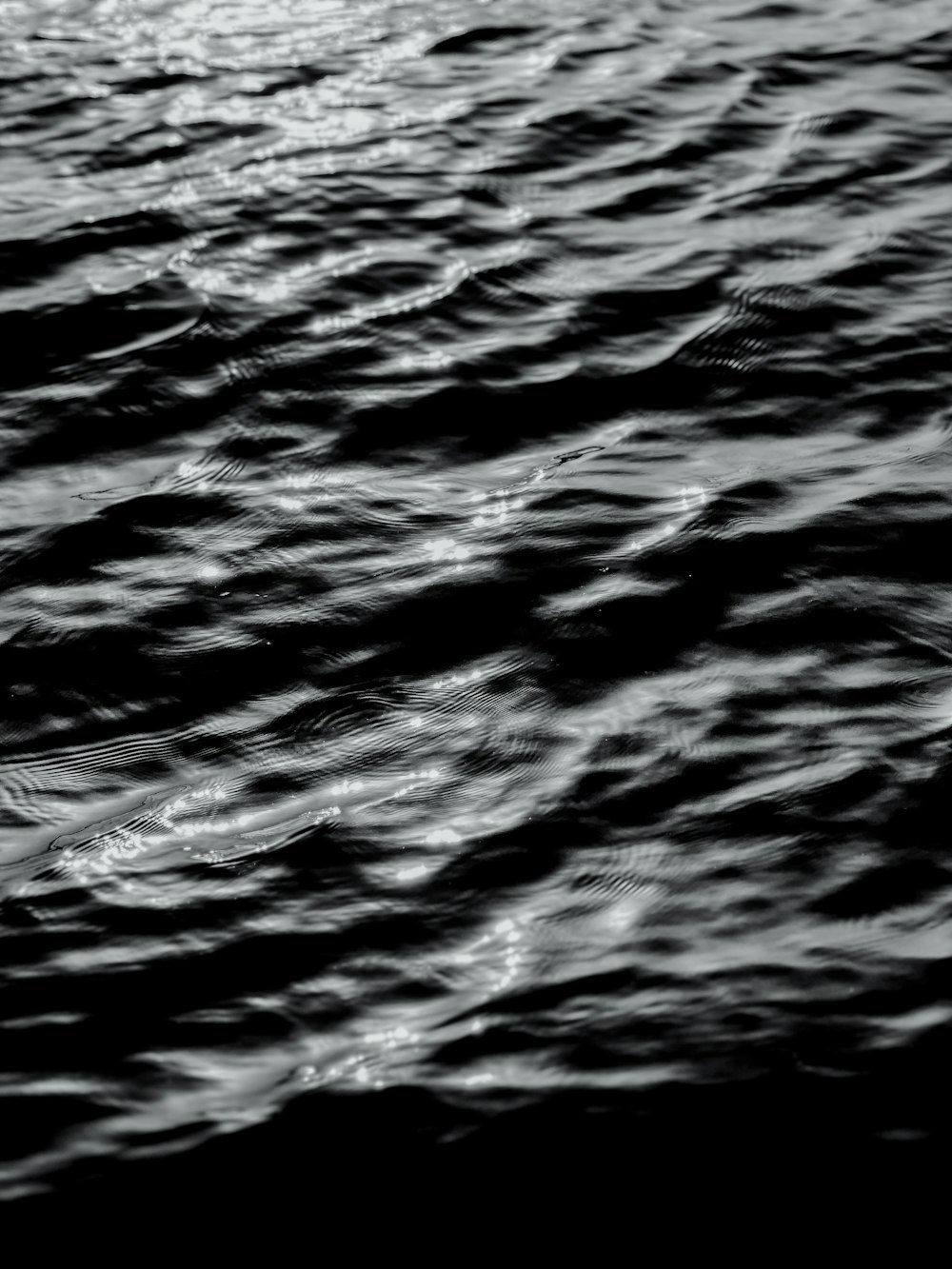 a black and white photo of the water