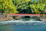 a red bridge over a river next to a forest