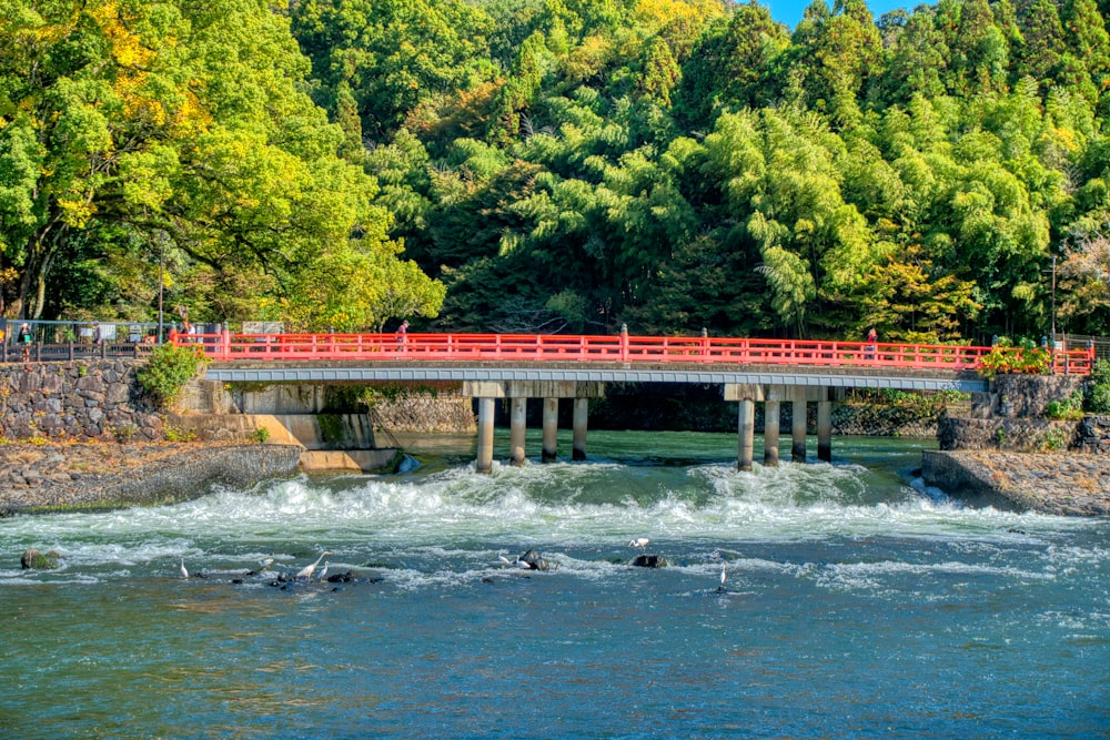 a red bridge over a river next to a forest