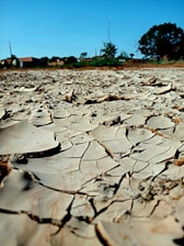 A dry, cracked earth surface stretches across the foreground, indicative of drought or arid conditions. The background features a clear blue sky and a few distant trees and buildings, creating a stark contrast with the barren land.