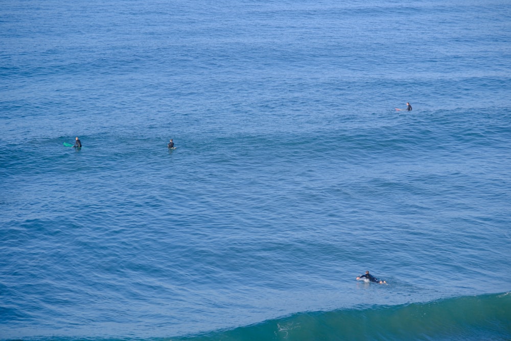Un grupo de personas montadas en la cima de una ola en el océano
