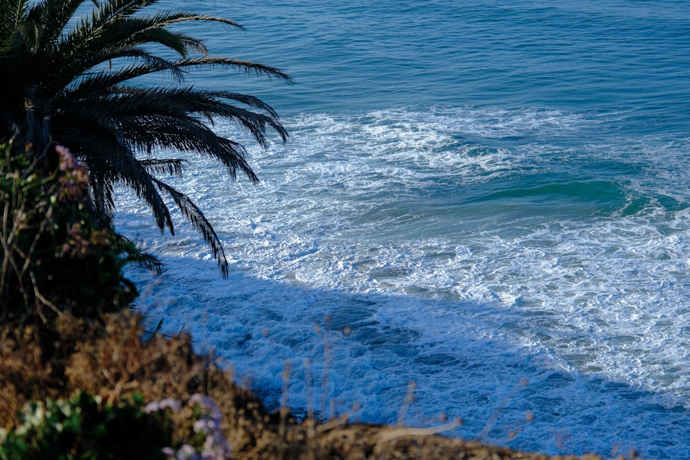 a view of the ocean from a cliff