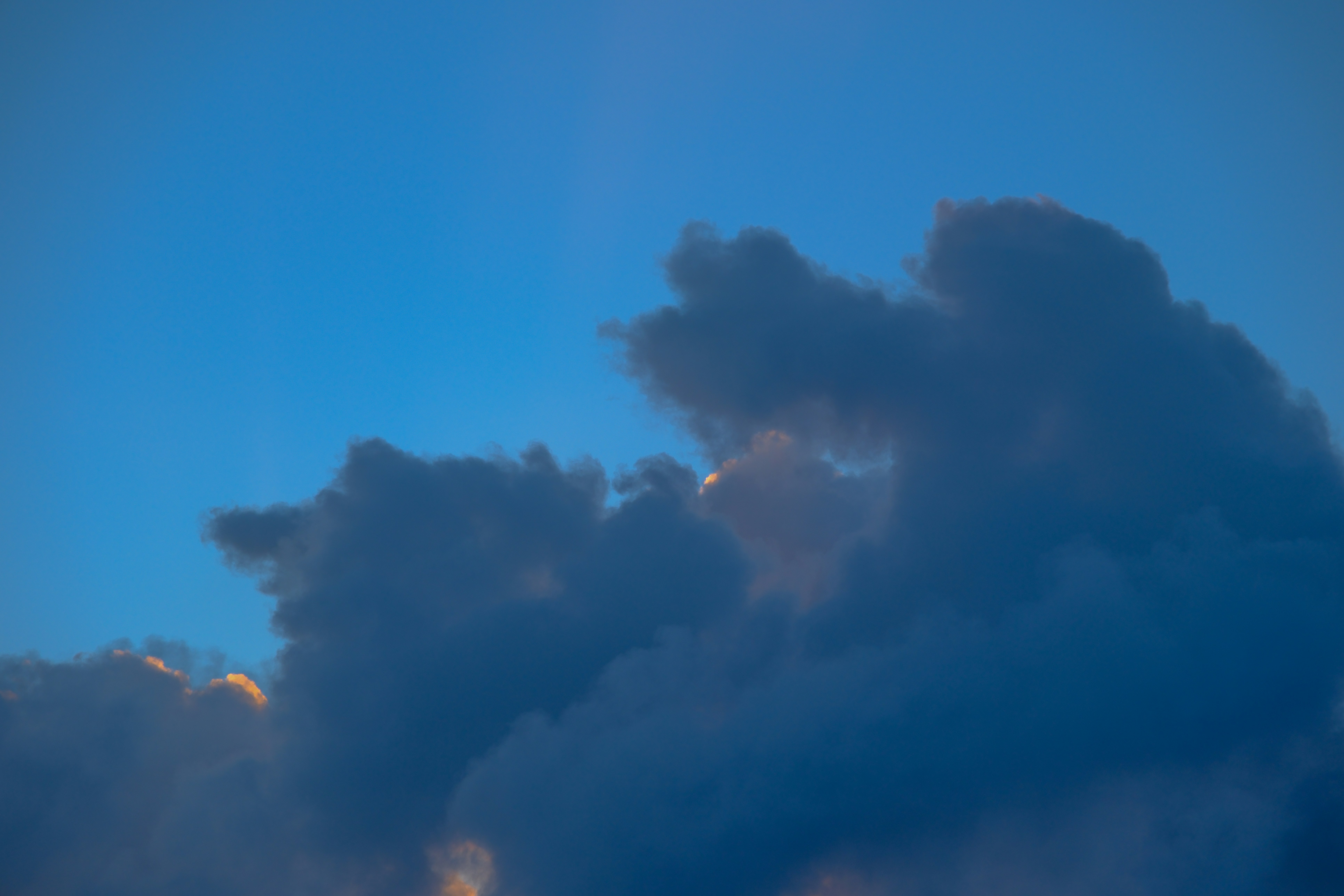 Photo by cestmoisheedy