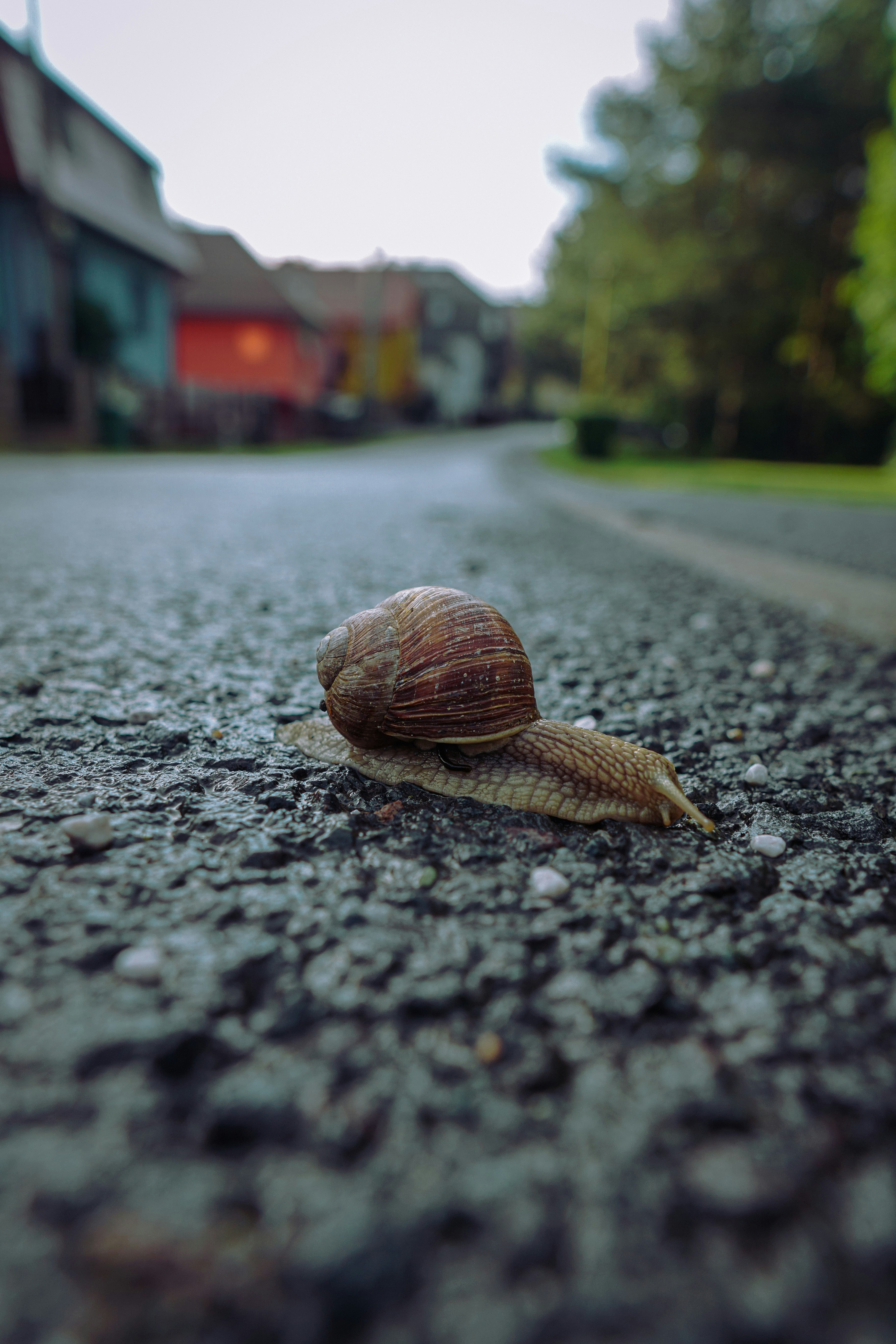 곤충 세계, 알면 알수록 빠져드는 신비로운 생태 대탐험!