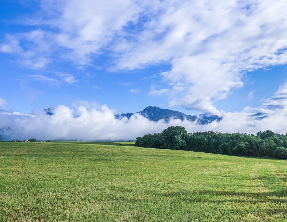 a field with a mountain in the distance