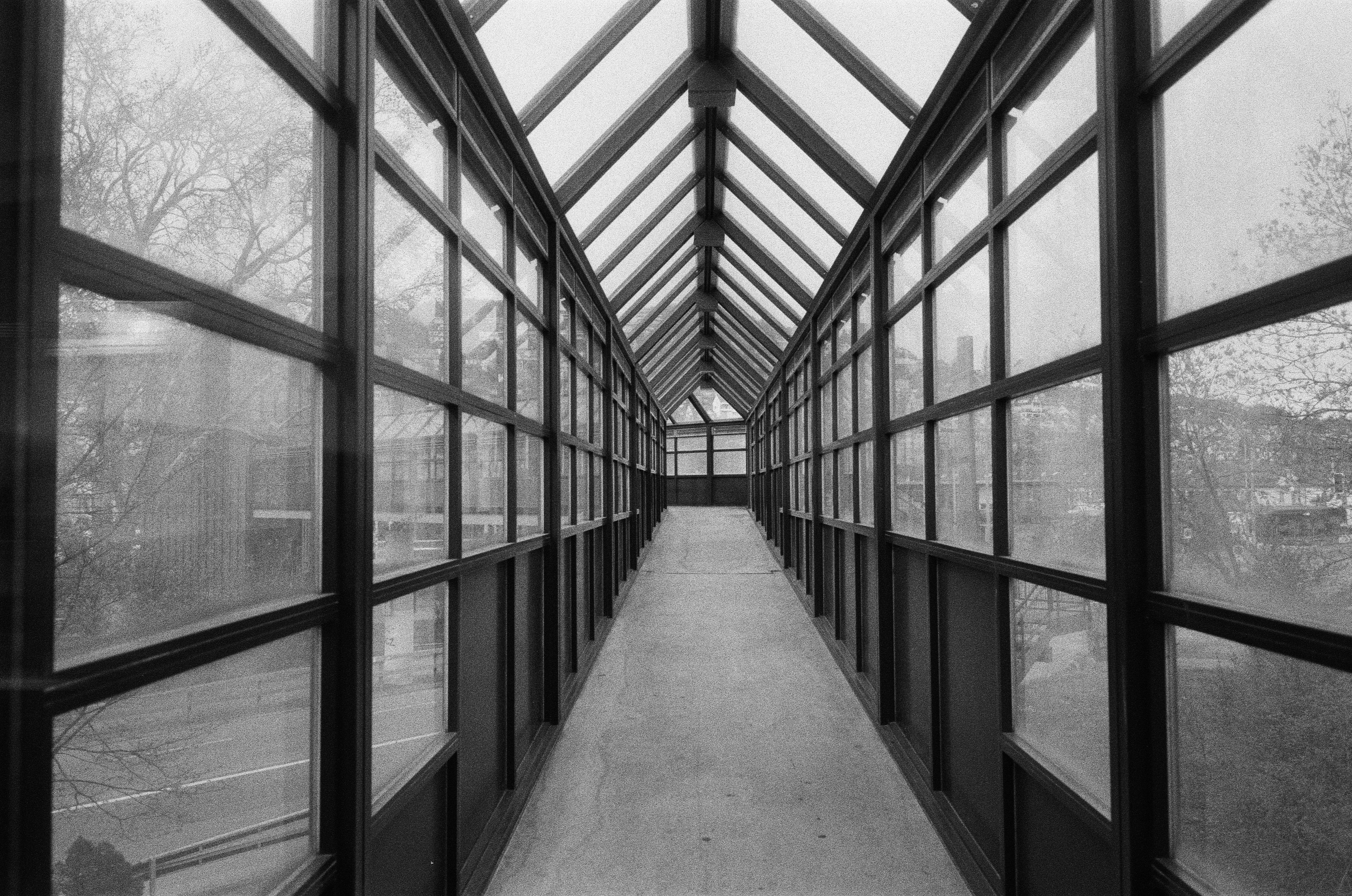 Photo by chris_s3tudios