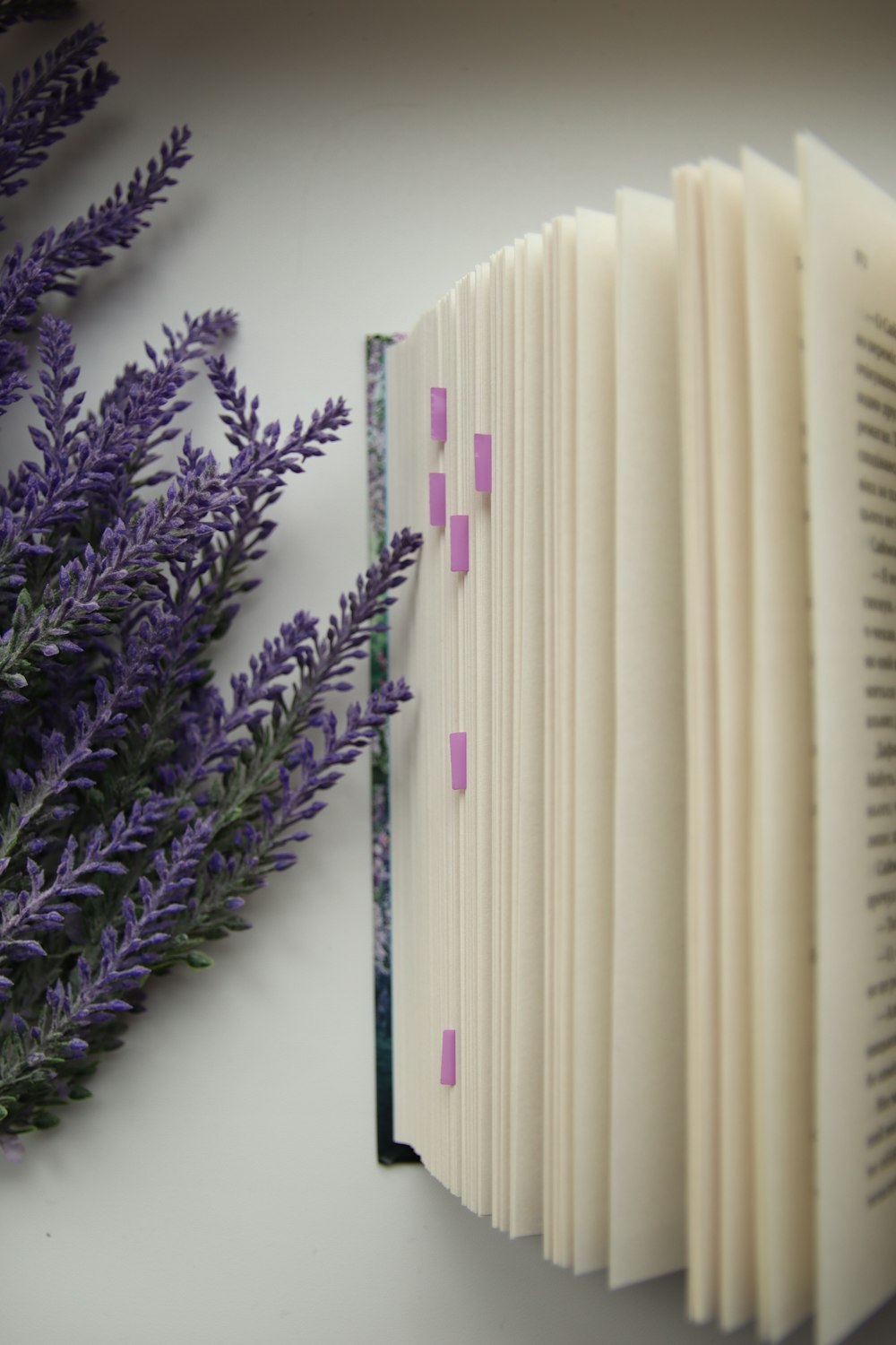 a close up of a book with purple flowers