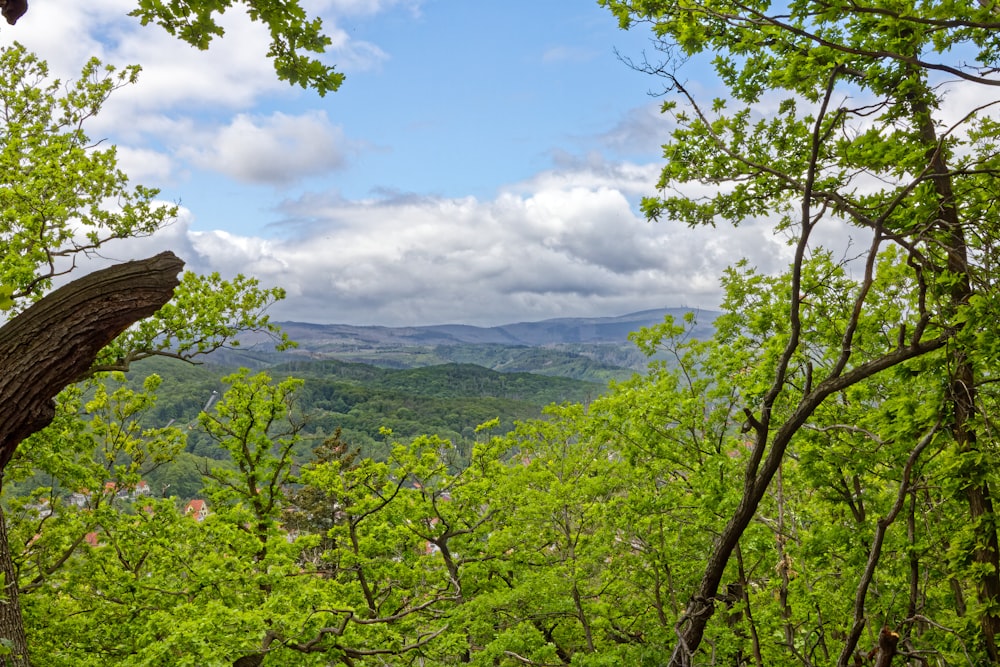 a view of the mountains from a wooded area