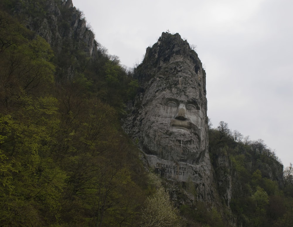 a large face carved into the side of a mountain