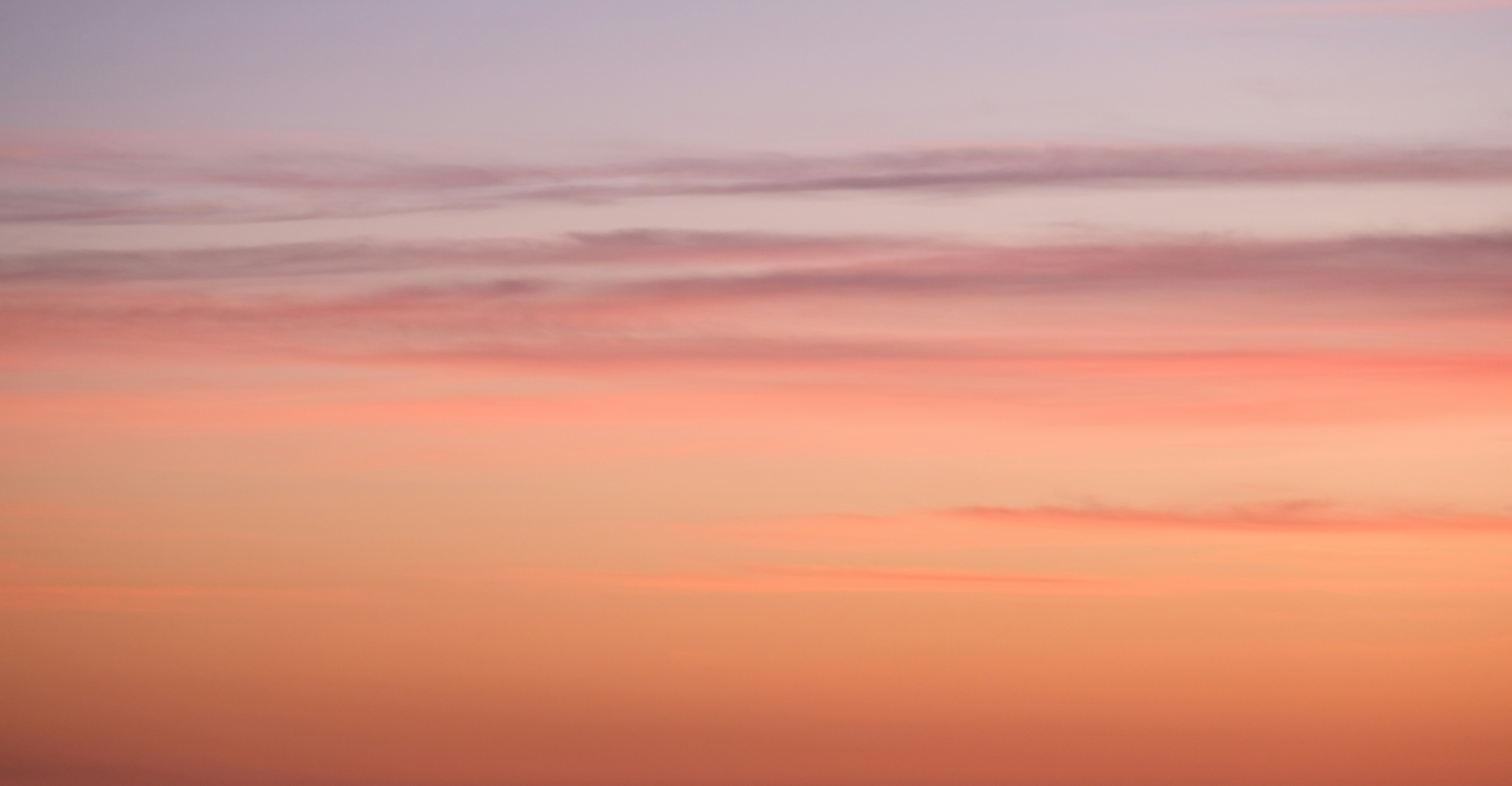 Photo by cestmoisheedy