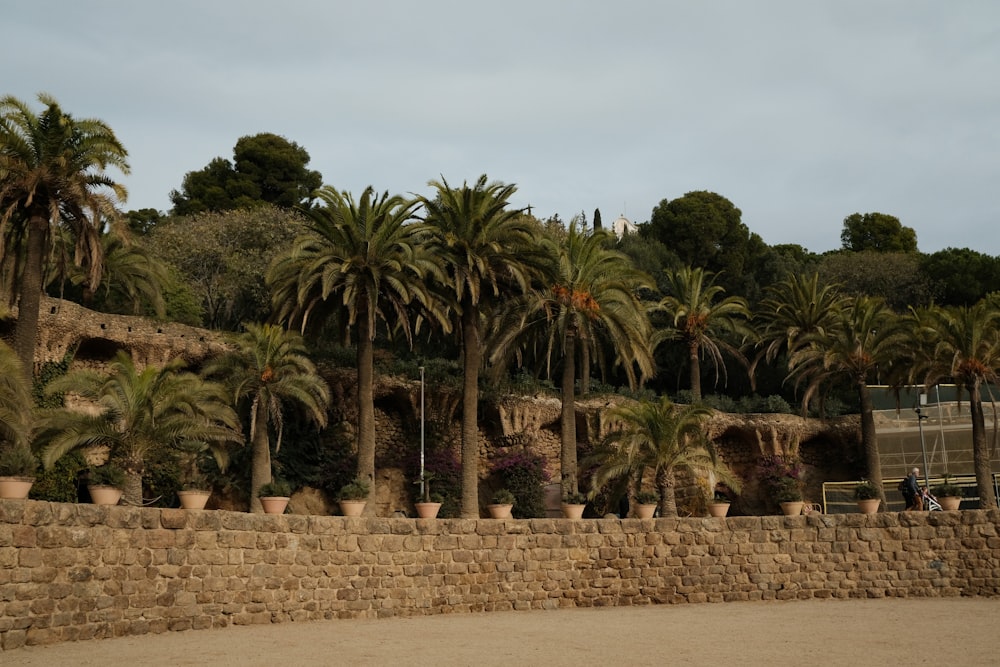 a stone wall with palm trees in the background