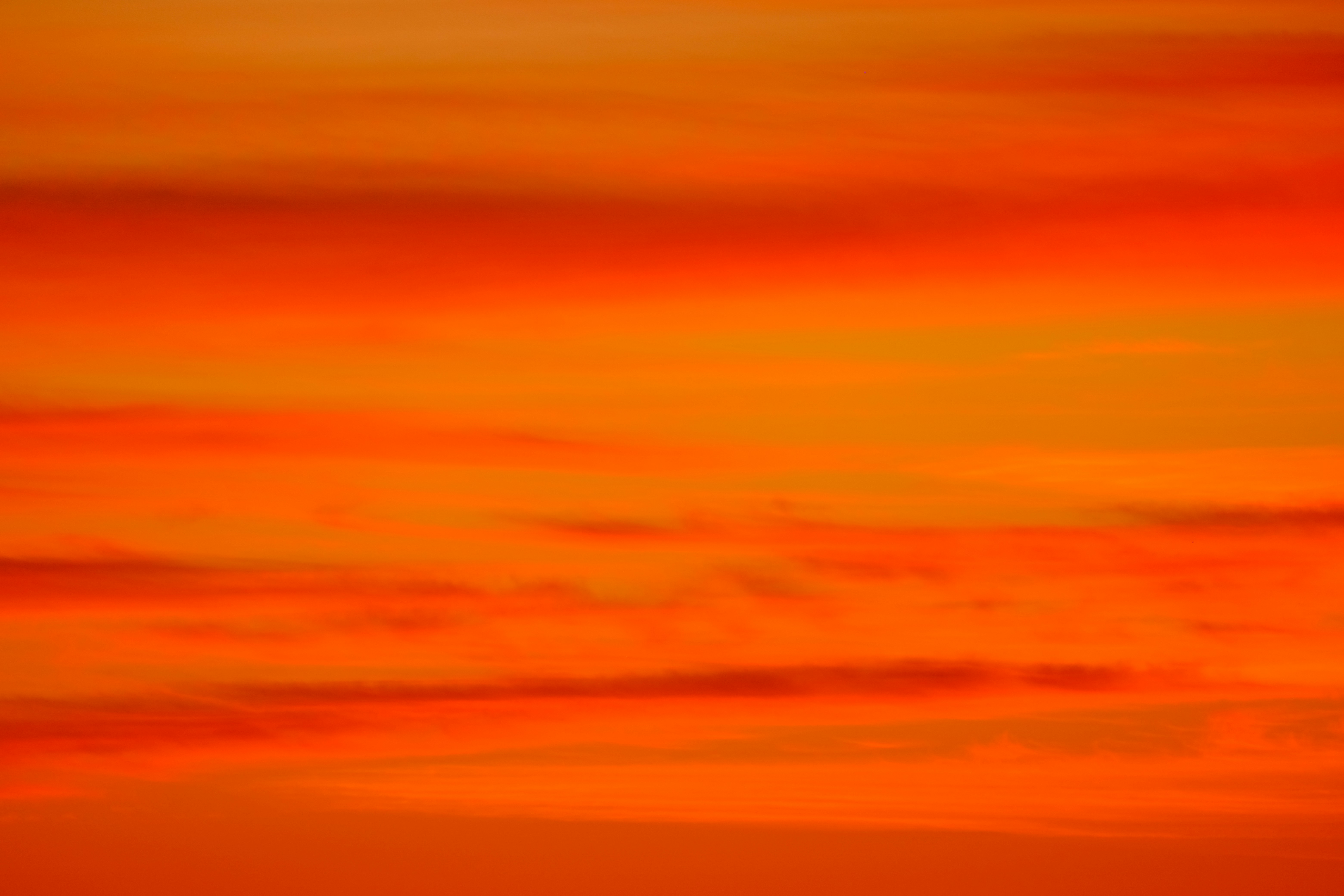 Photo by cestmoisheedy