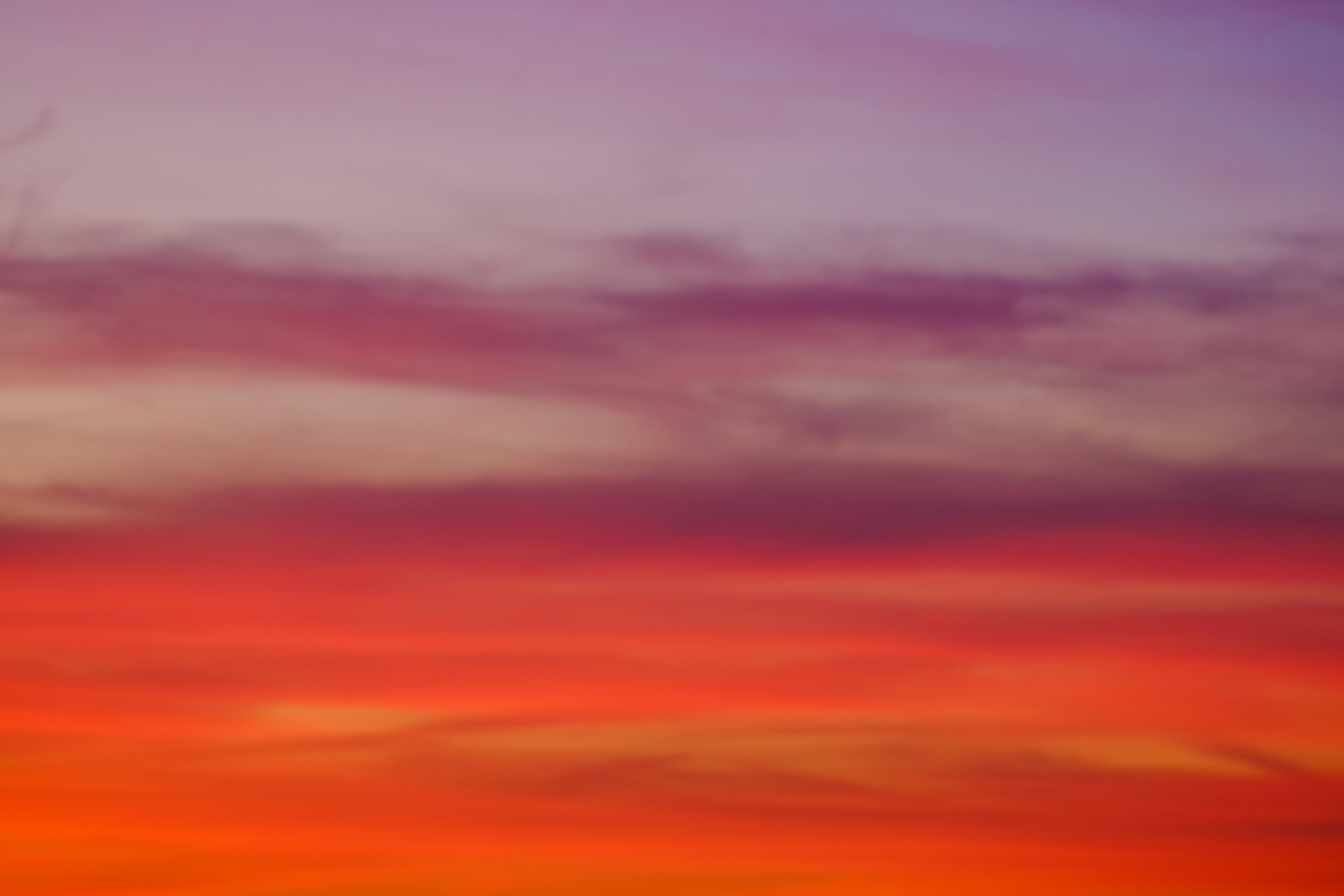 Photo by cestmoisheedy