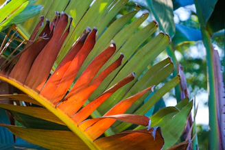 Vibrant, detailed photograph printed on glossy paper showcasing nature scenery.
