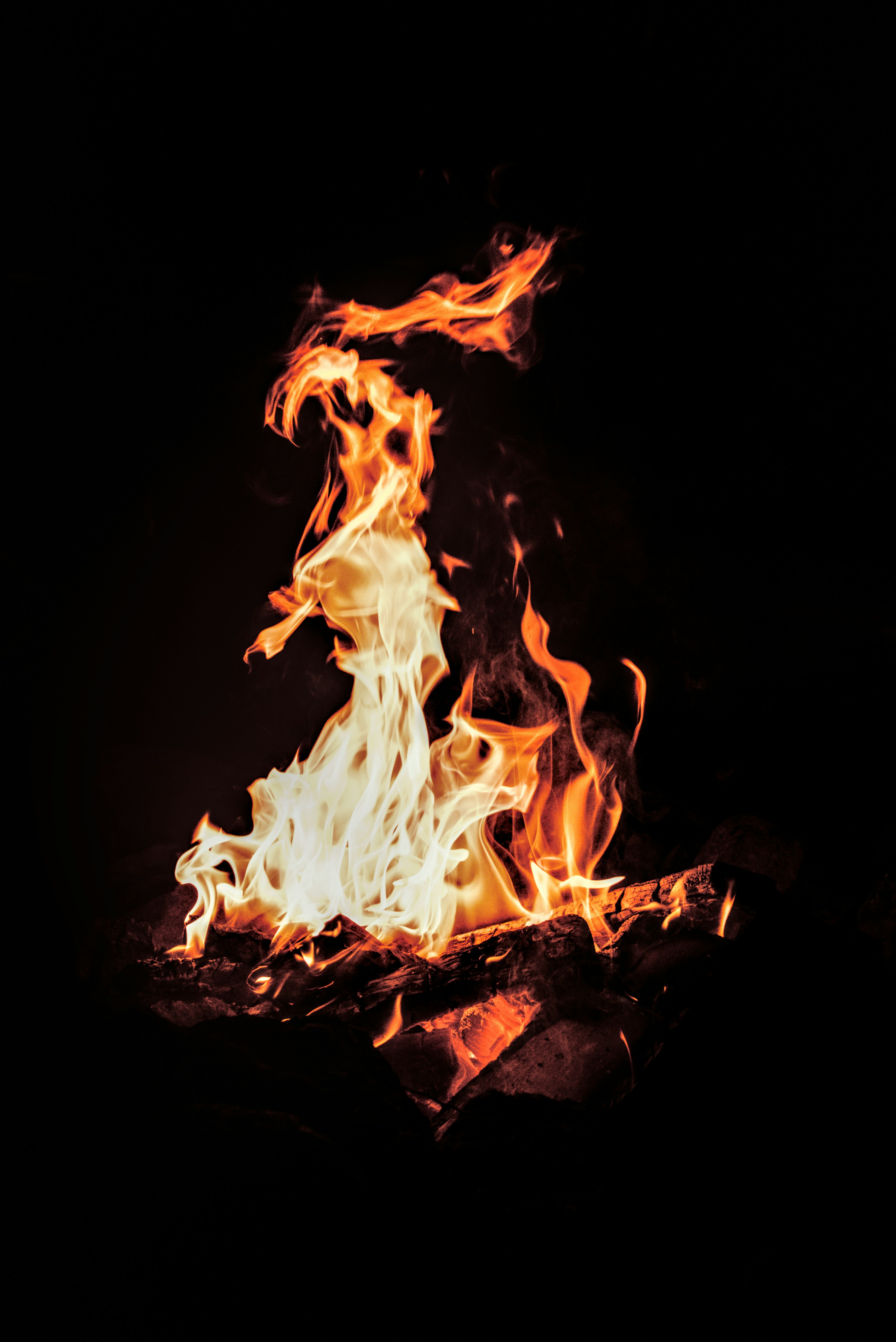 Photo by dcanadianphotographer