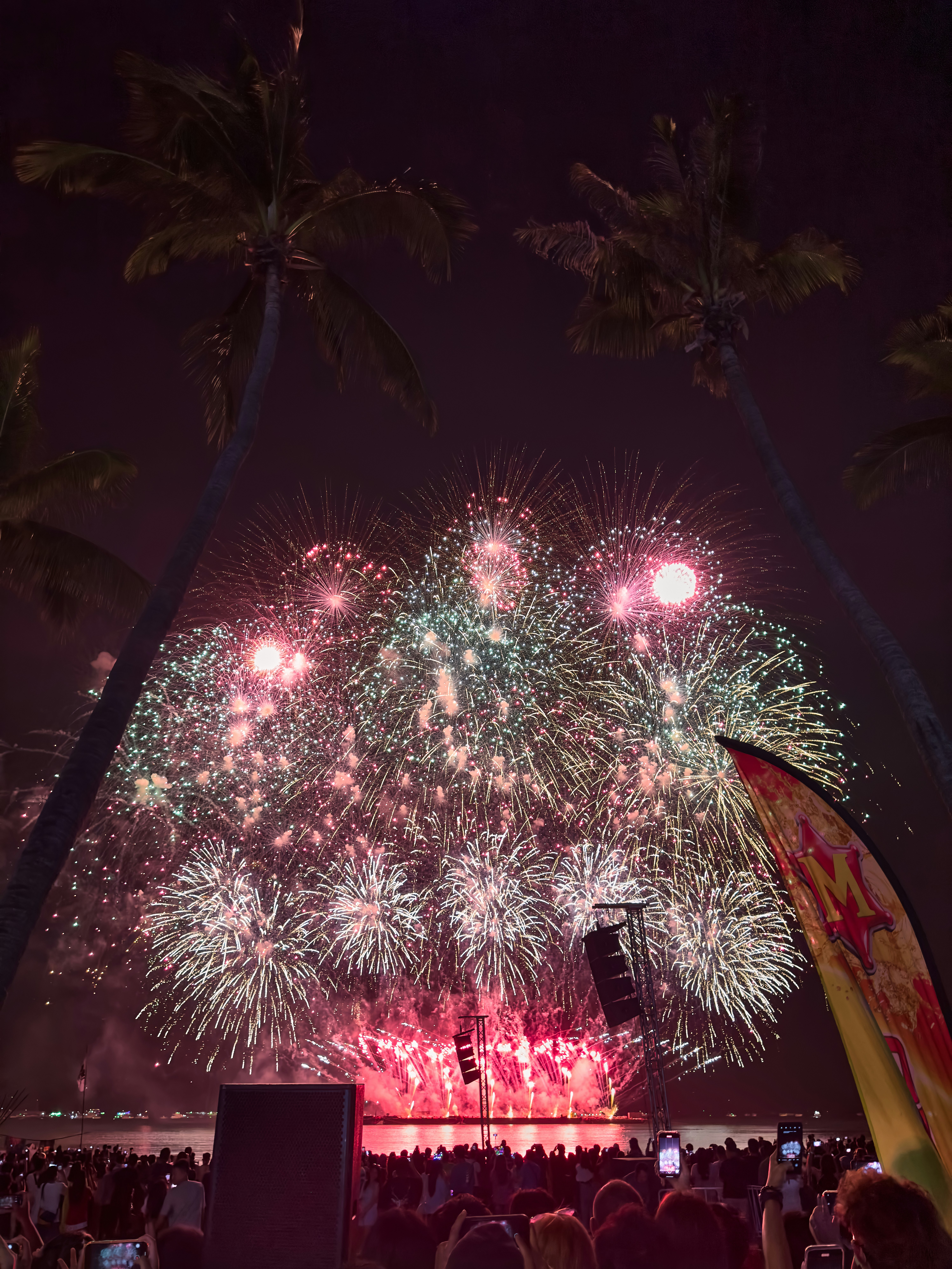 a crowd of people watching a fireworks display